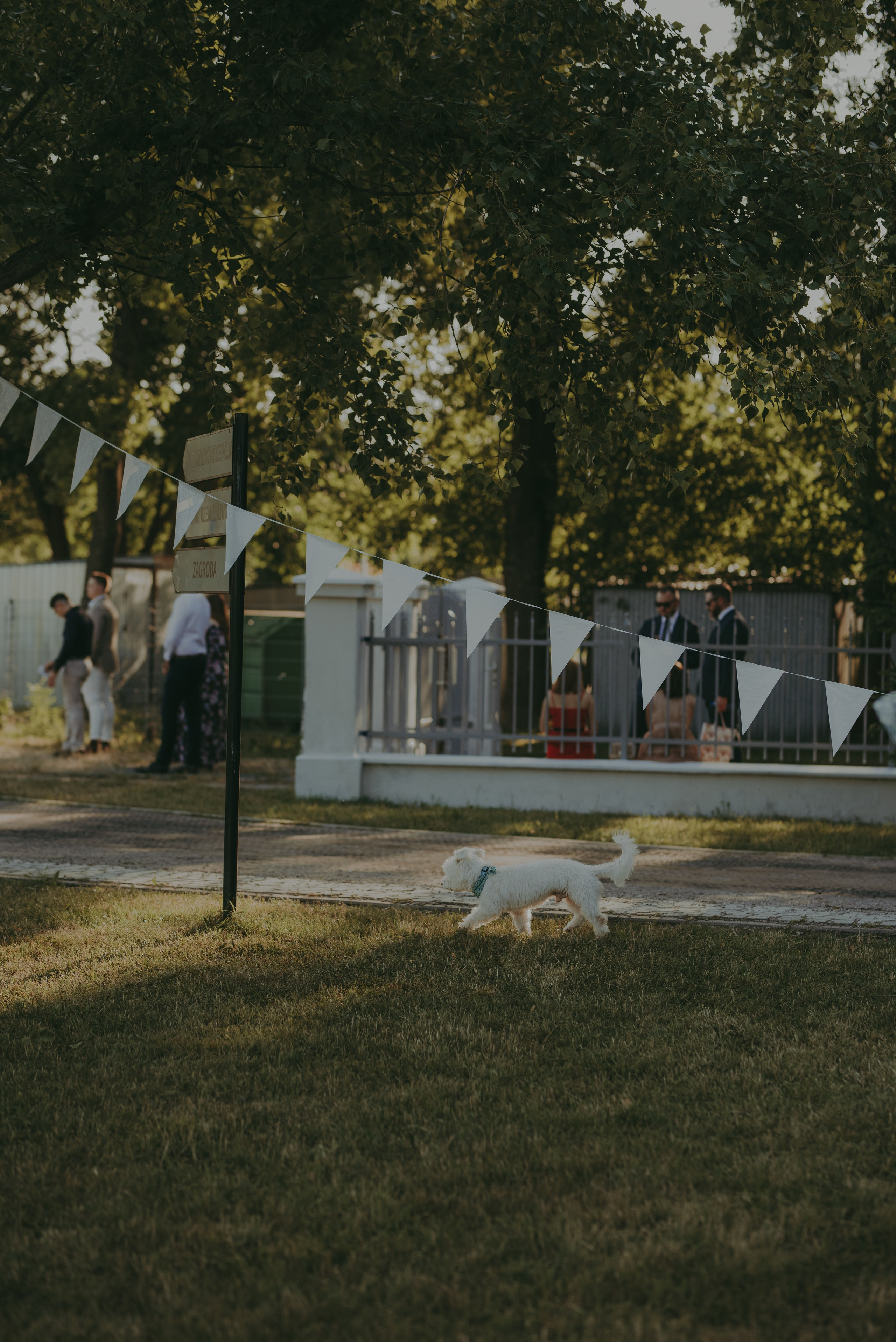 Mania & Andrzej w Folwark Łochów. Naturalnie pięknie - Klaudia Rowicka