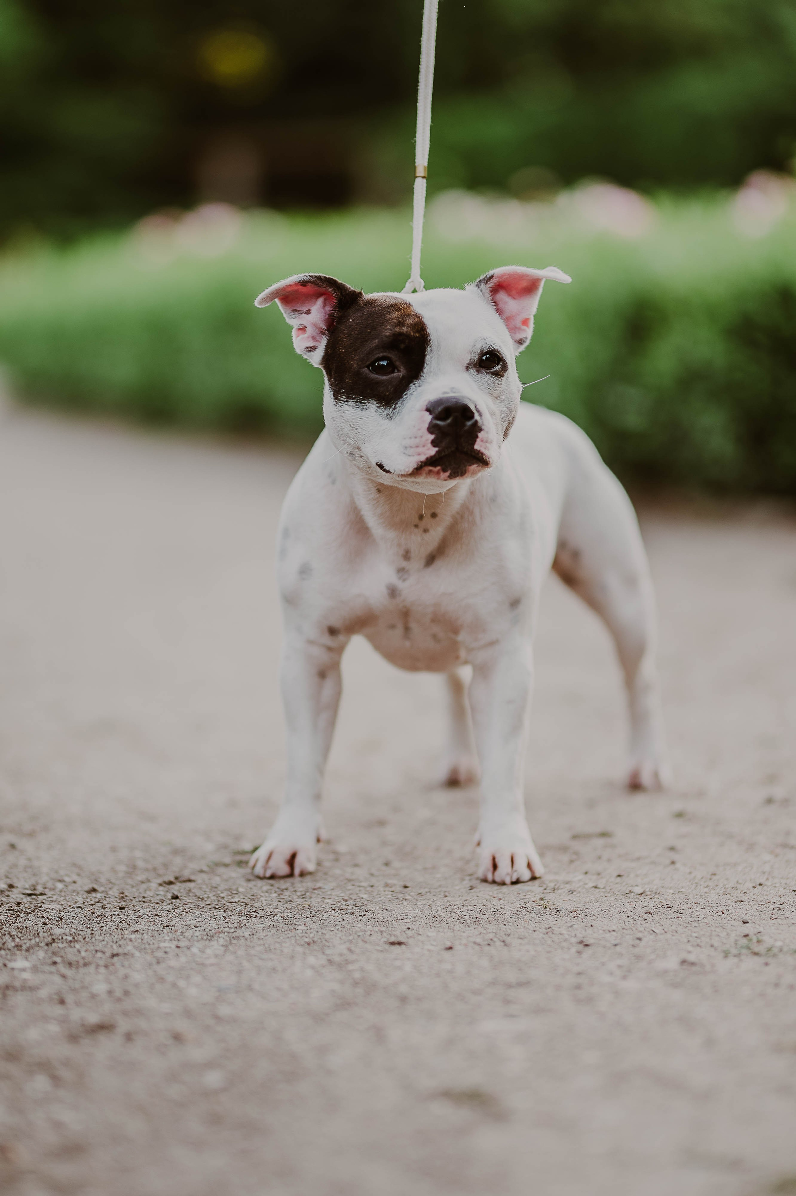 Staffik - Furia. Naturalnie pięknie - Klaudia Rowicka