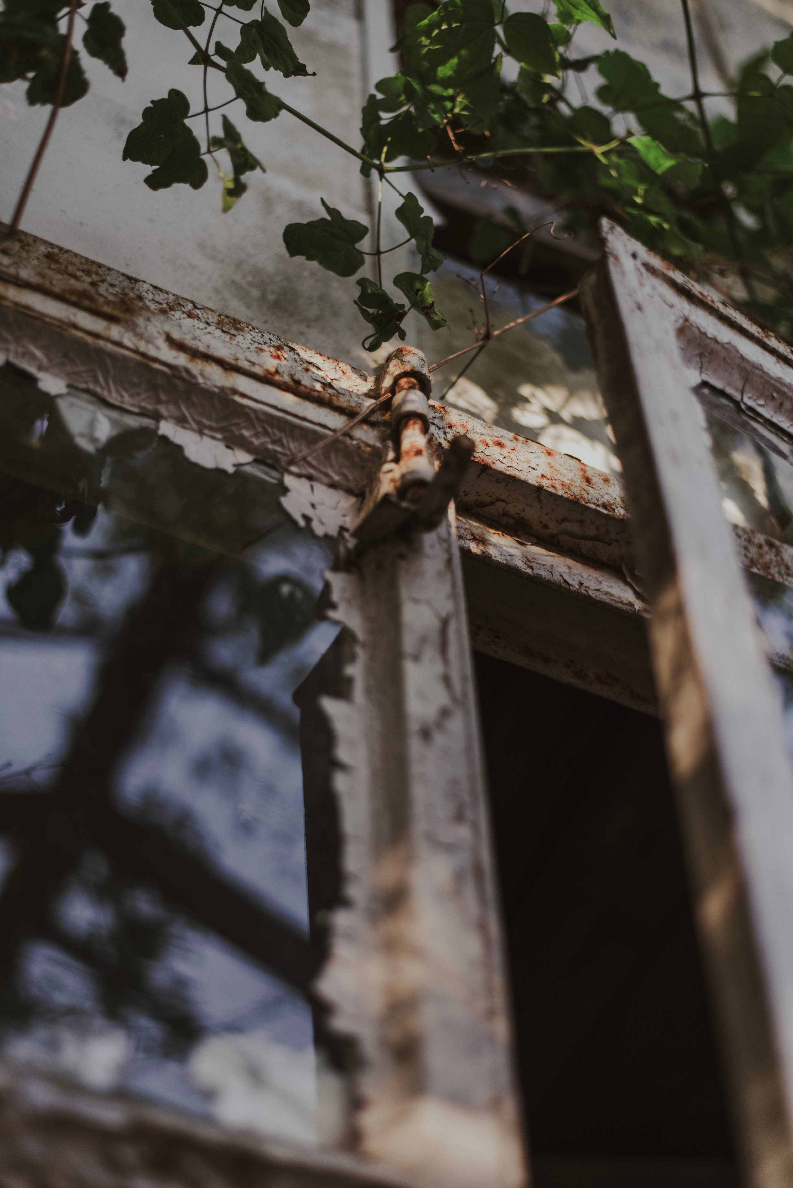 Ola & Daniel. Naturalnie pięknie - Klaudia Rowicka