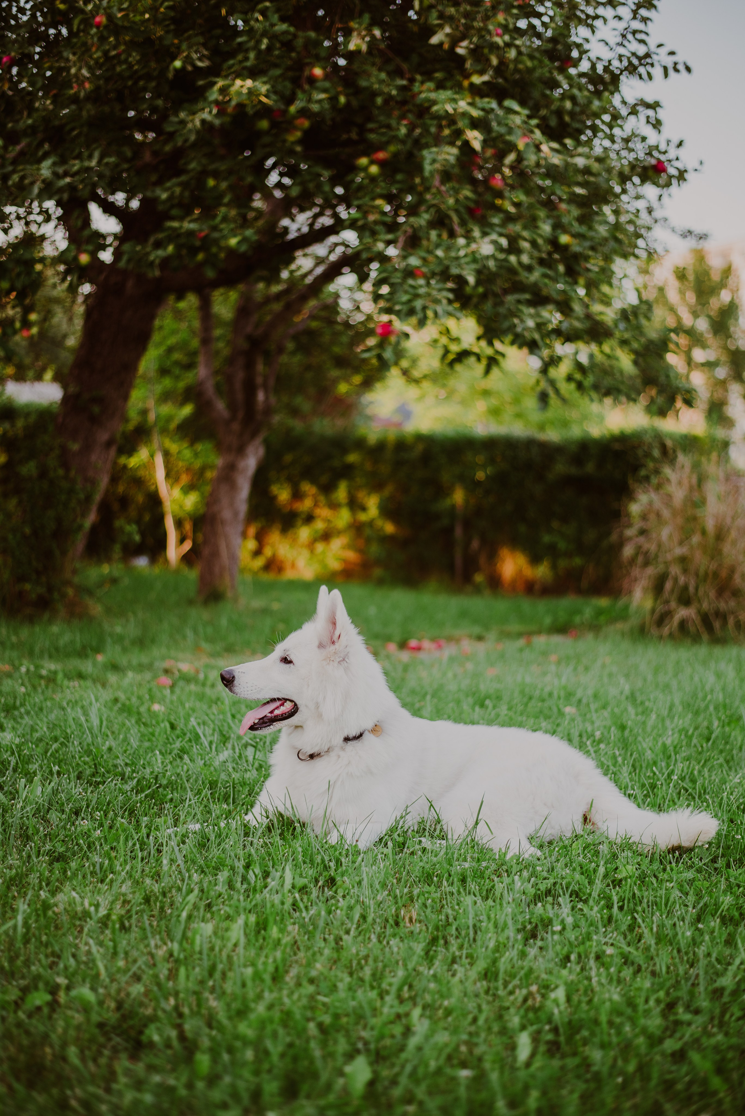 Asia & Patryk. Naturalnie pięknie - Klaudia Rowicka