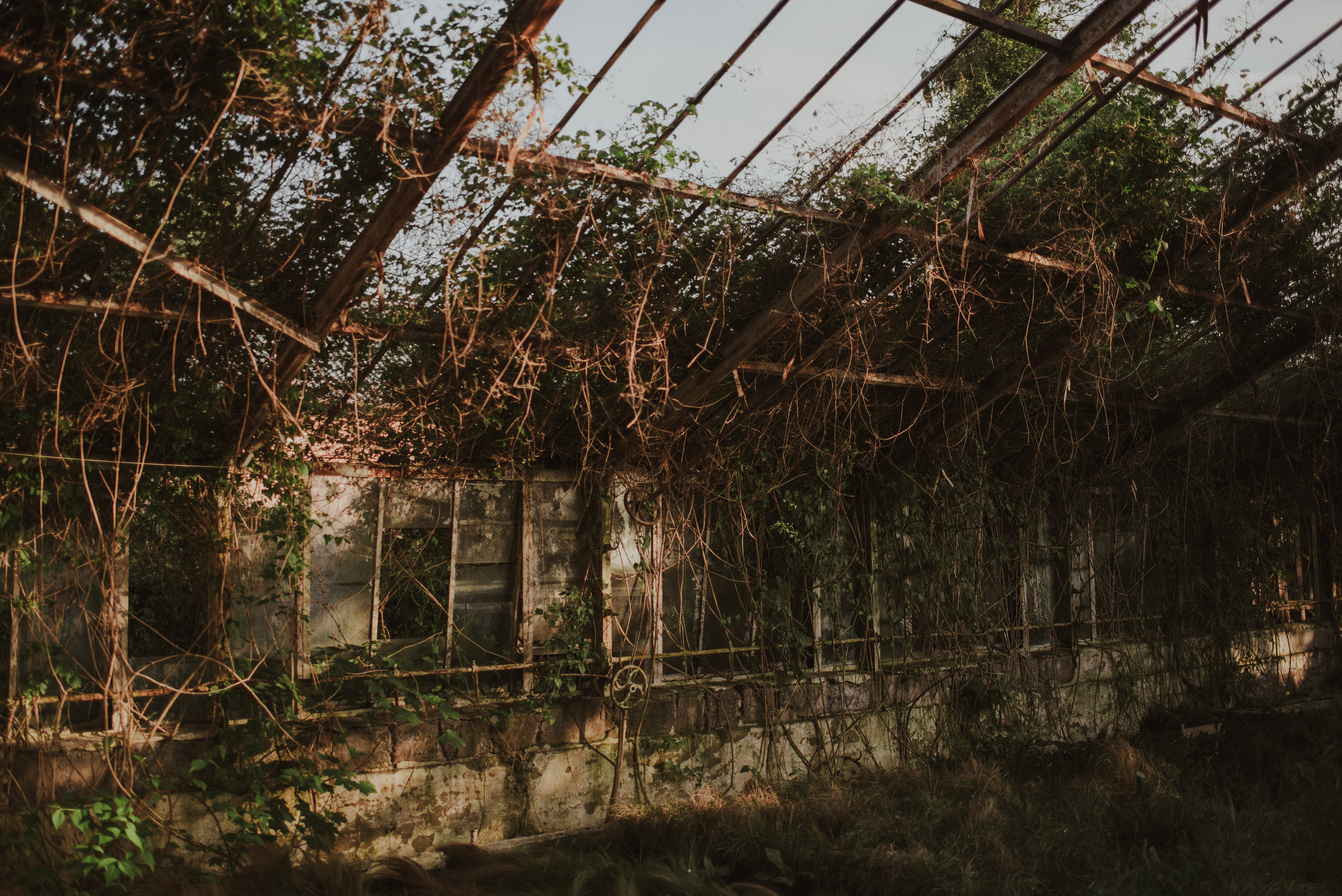 Ola & Daniel. Naturalnie pięknie - Klaudia Rowicka