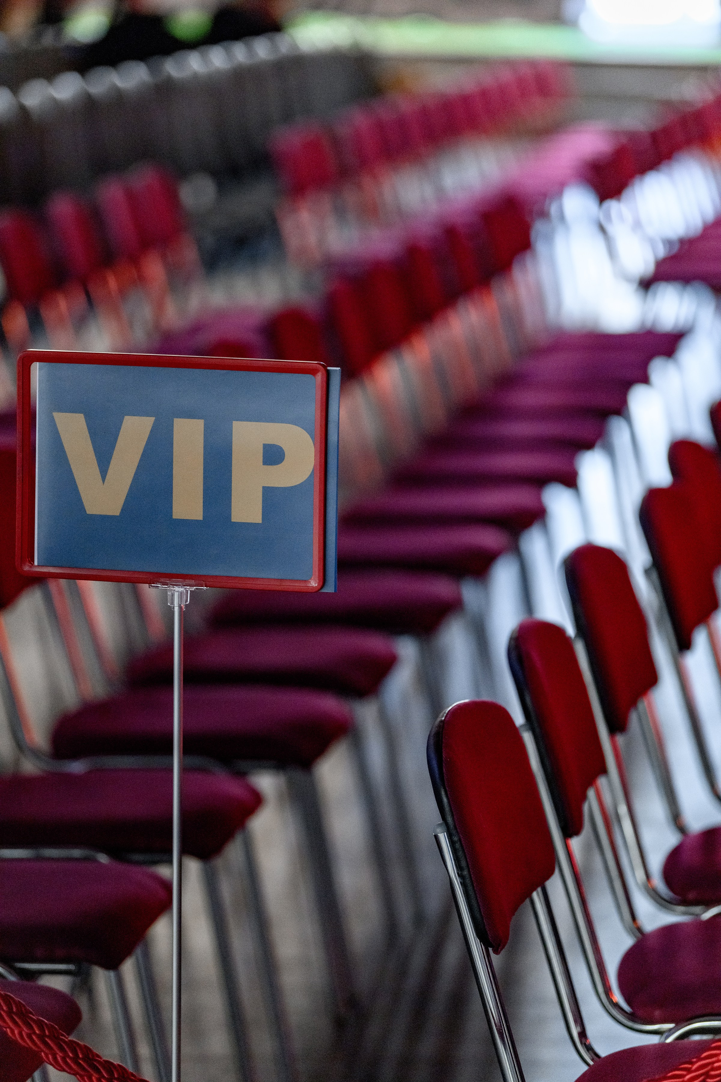 «CHAMPION FEST 2025». Свадебный и семейный фотограф