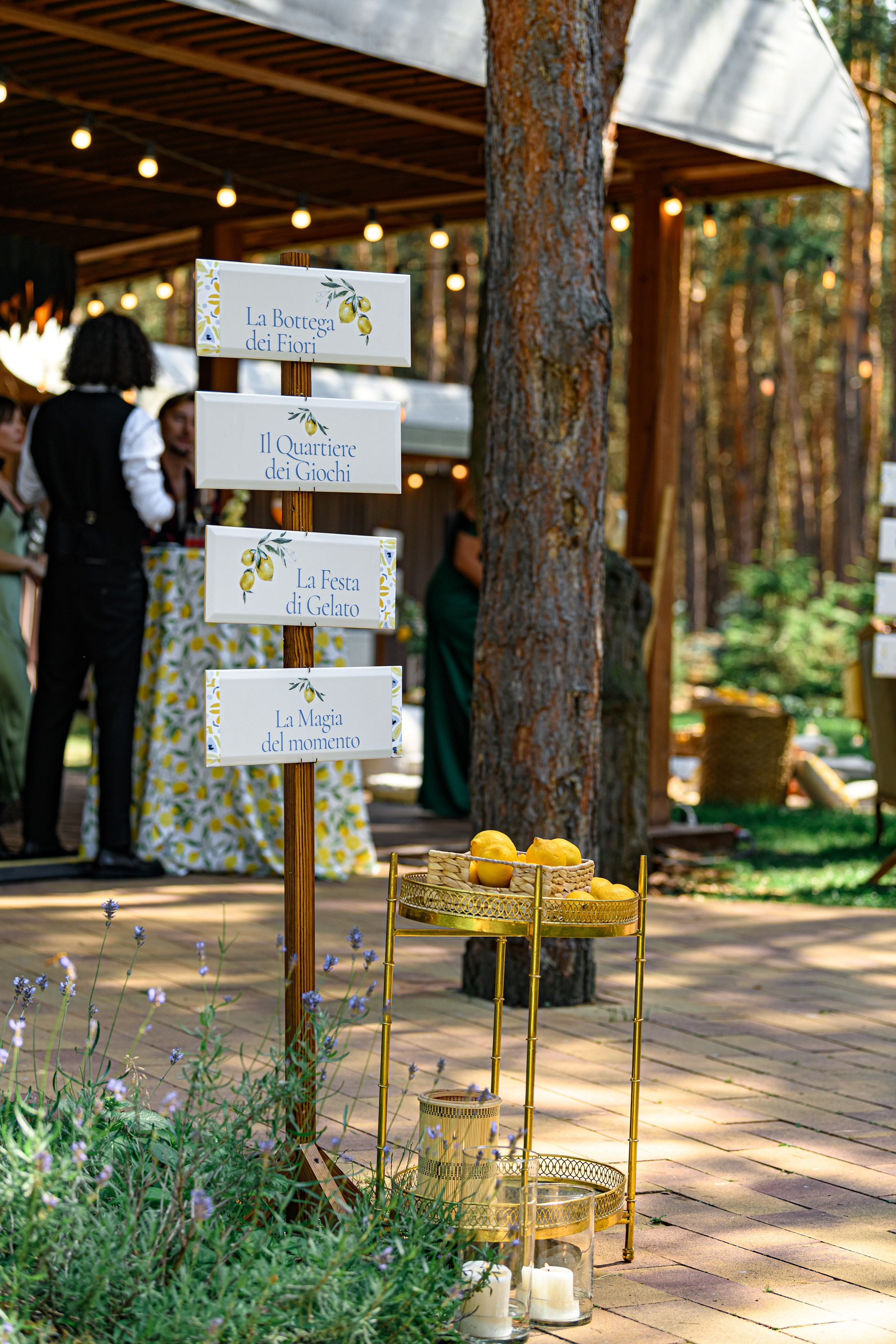 ОЛЕКСІЙ & ЯРОСЛАВА. Свадебный и семейный фотограф