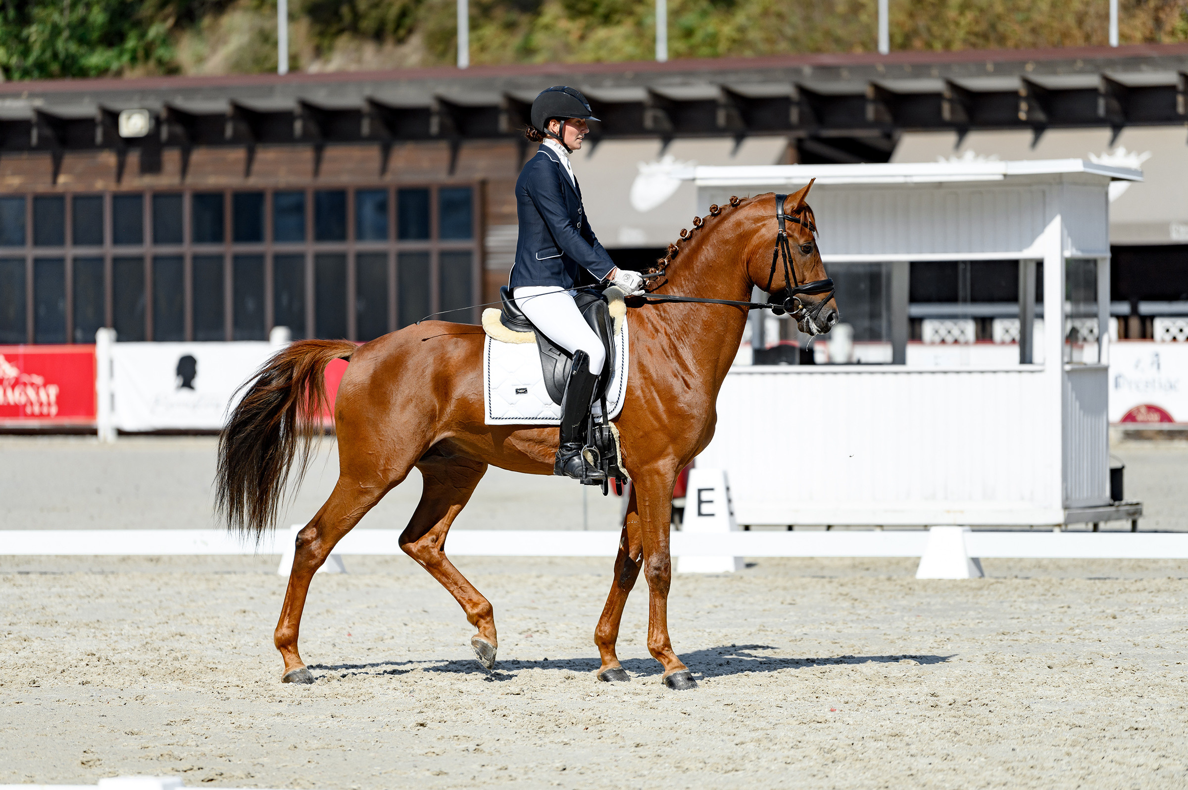 «DRESSAGE EQUIDES CUP 2023». Свадебный и семейный фотограф