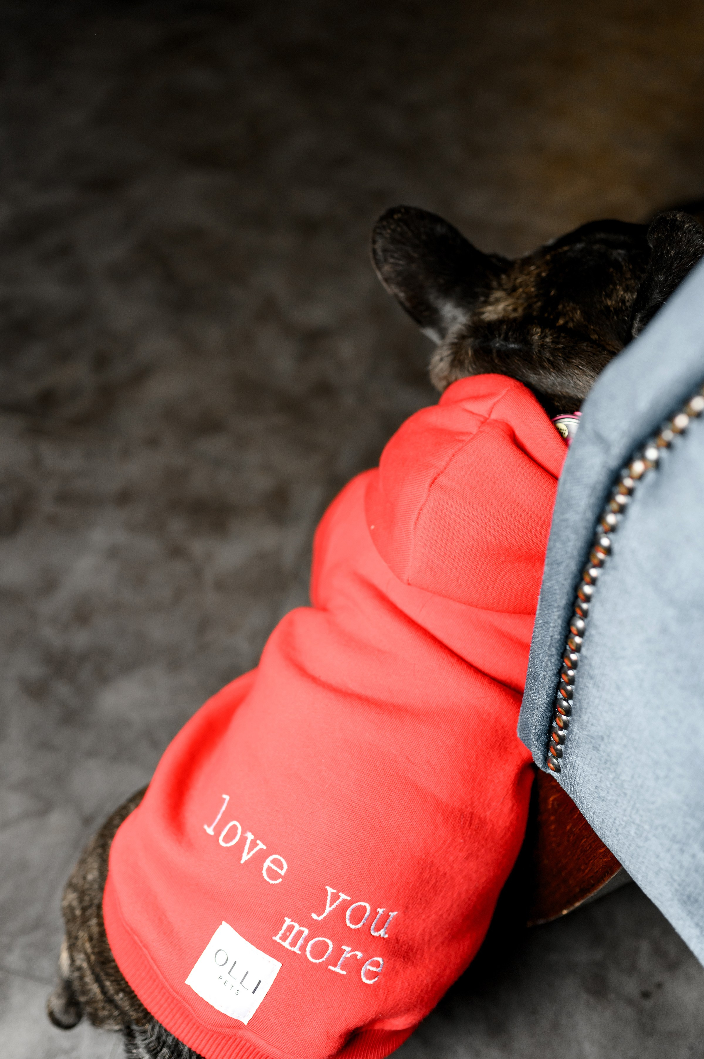 «Благодійний Beauty Бранч». Свадебный и семейный фотограф