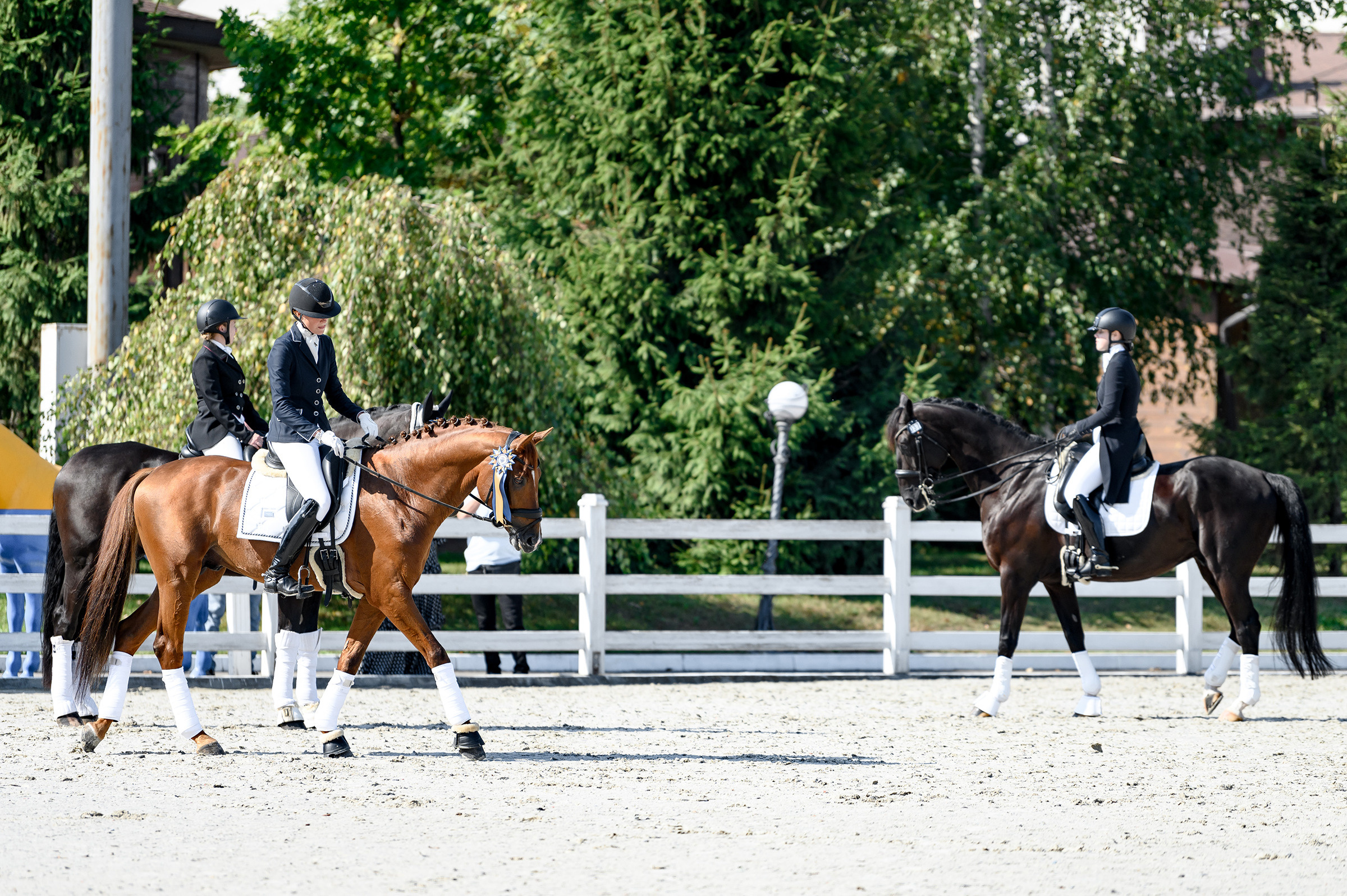 «DRESSAGE EQUIDES CUP 2023». Свадебный и семейный фотограф