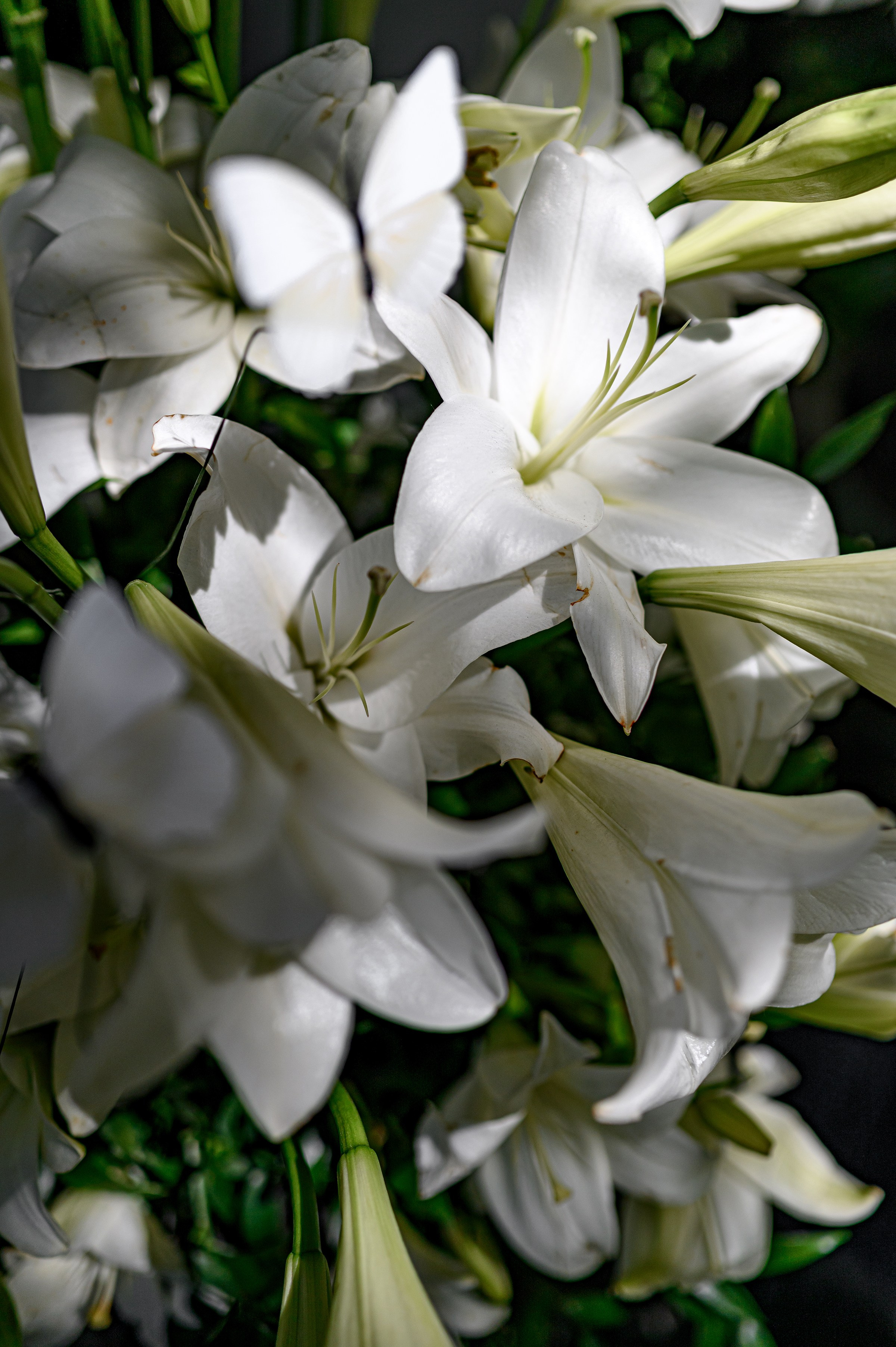 PROJECT ''Klovskysad & Marvis''. Свадебный и семейный фотограф