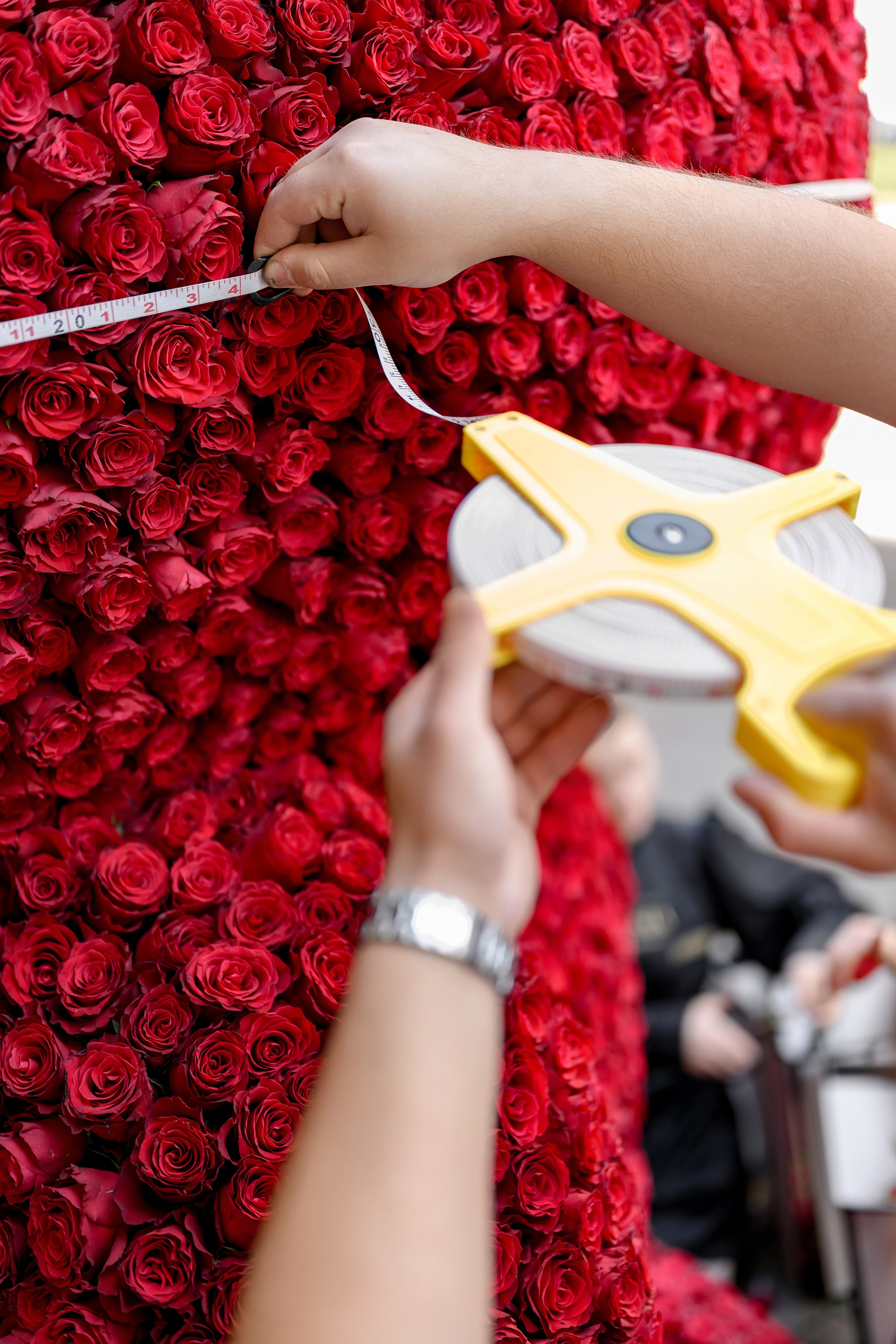 «FREESIA». Свадебный и семейный фотограф