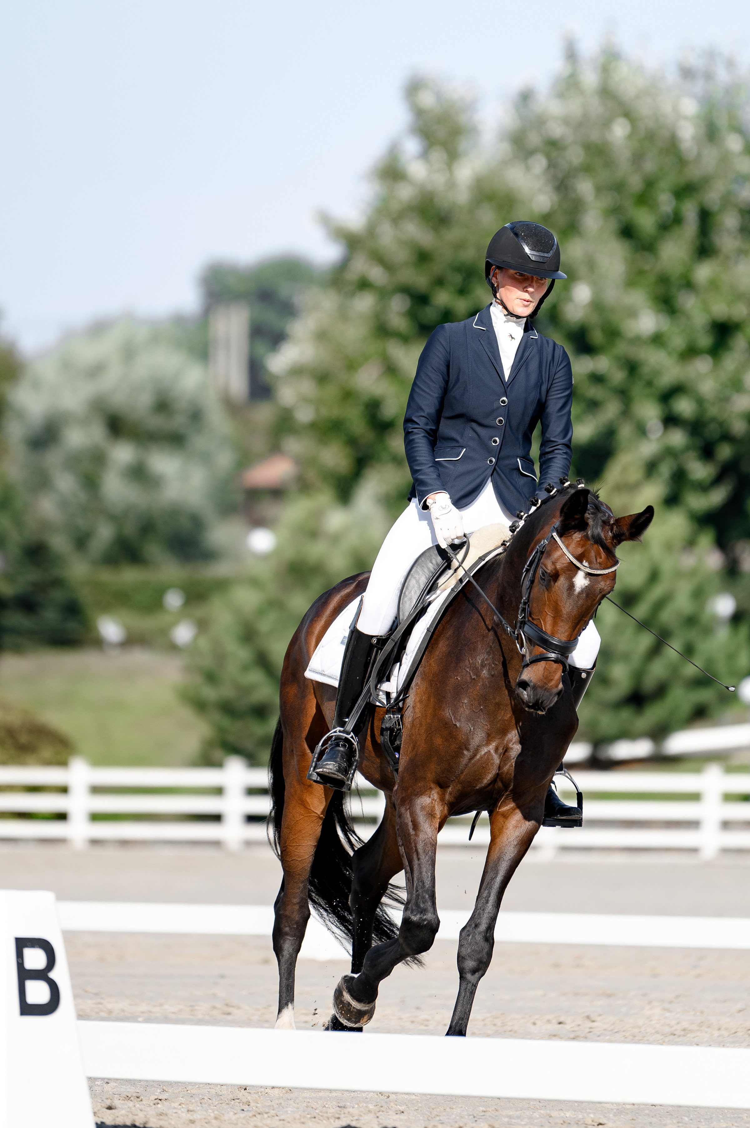 «DRESSAGE EQUIDES CUP 2023». Свадебный и семейный фотограф