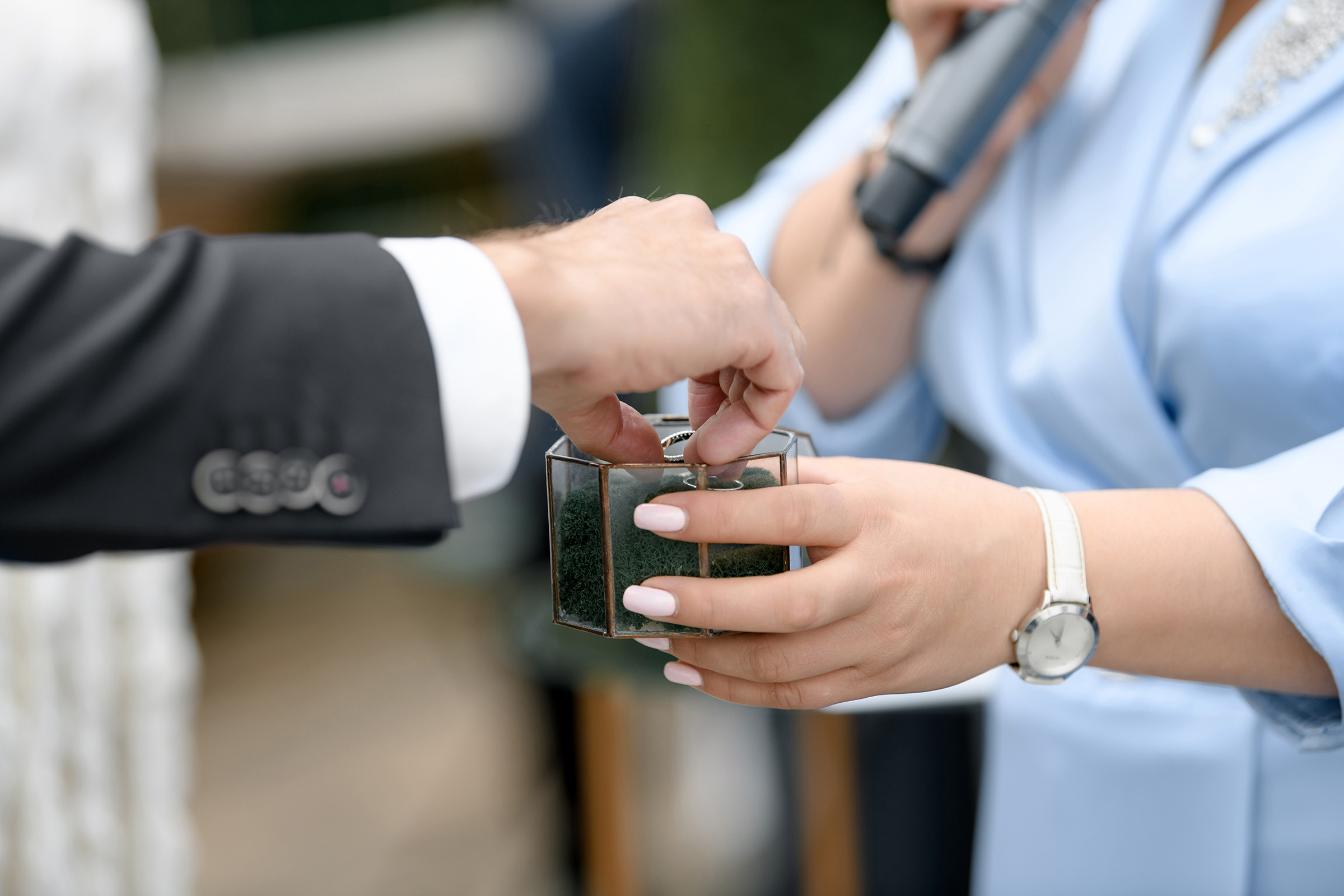 Діма & Наталя. Свадебный и семейный фотограф