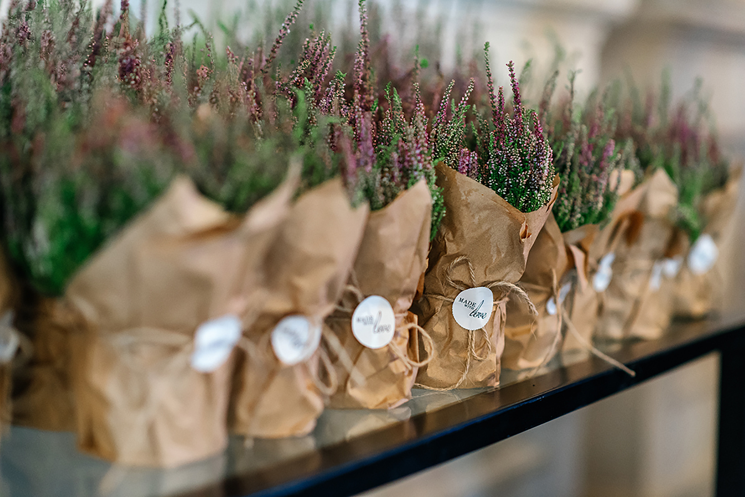 Владислав & Марія. Свадебный и семейный фотограф