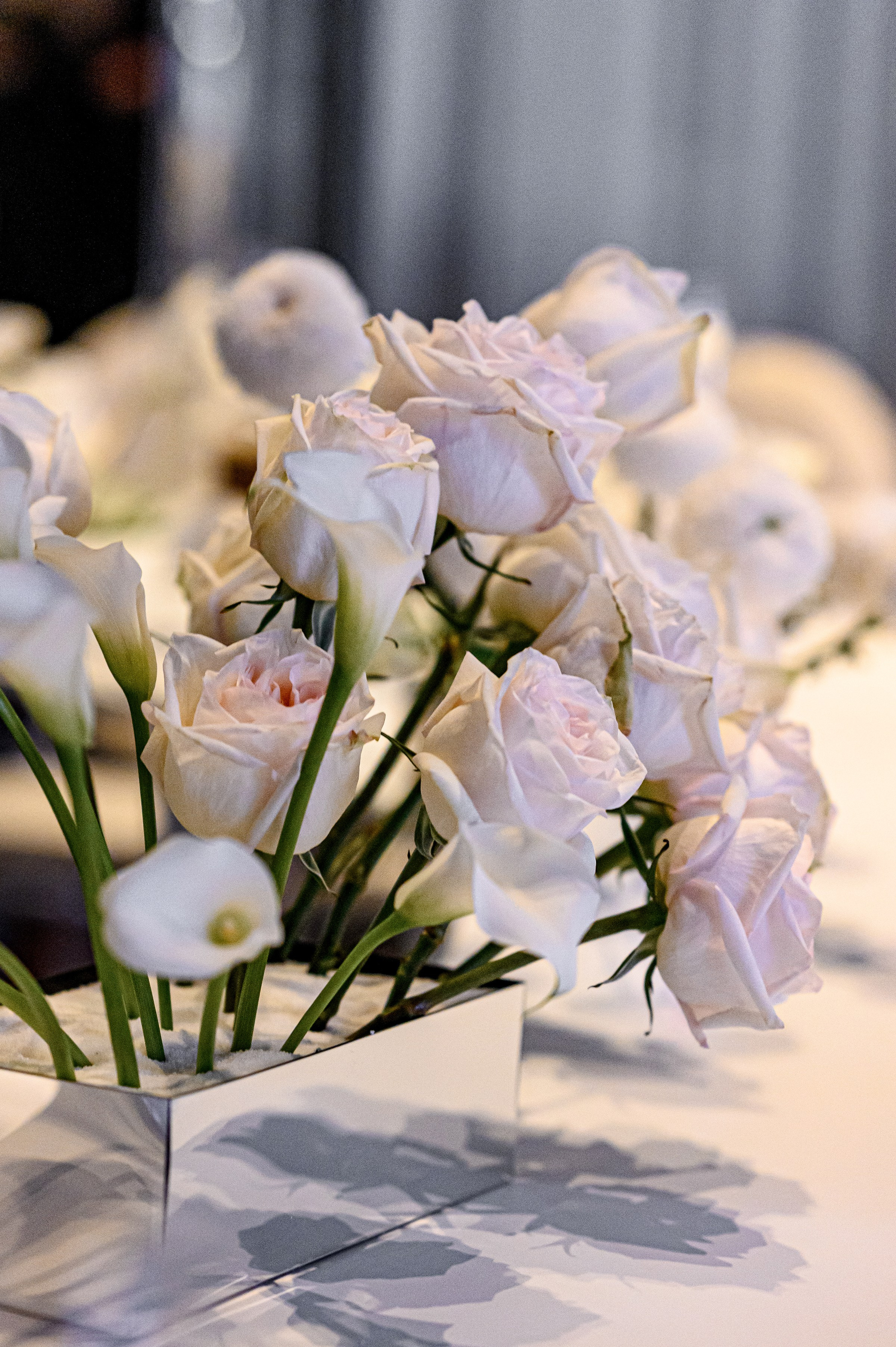 ВАГЕ & СВІТЛАНА. Свадебный и семейный фотограф