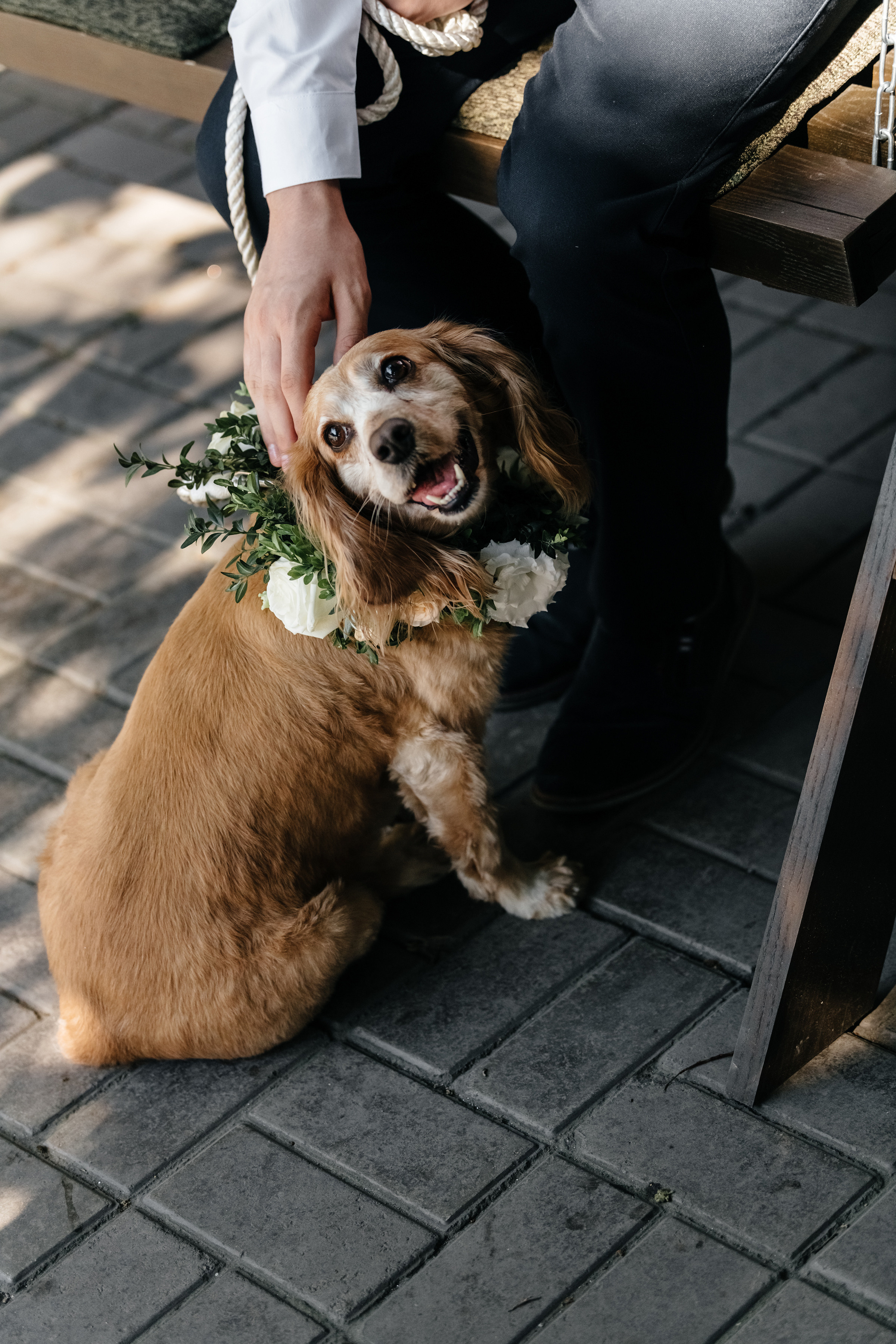 Сергій & Юлія. Свадебный и семейный фотограф