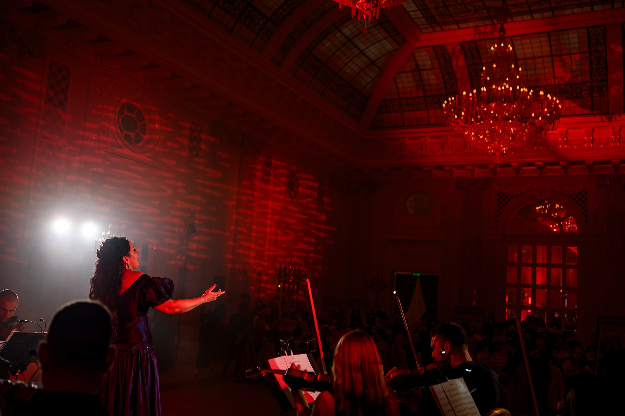 ''CHARITY VIENNESE BALL''. Свадебный и семейный фотограф