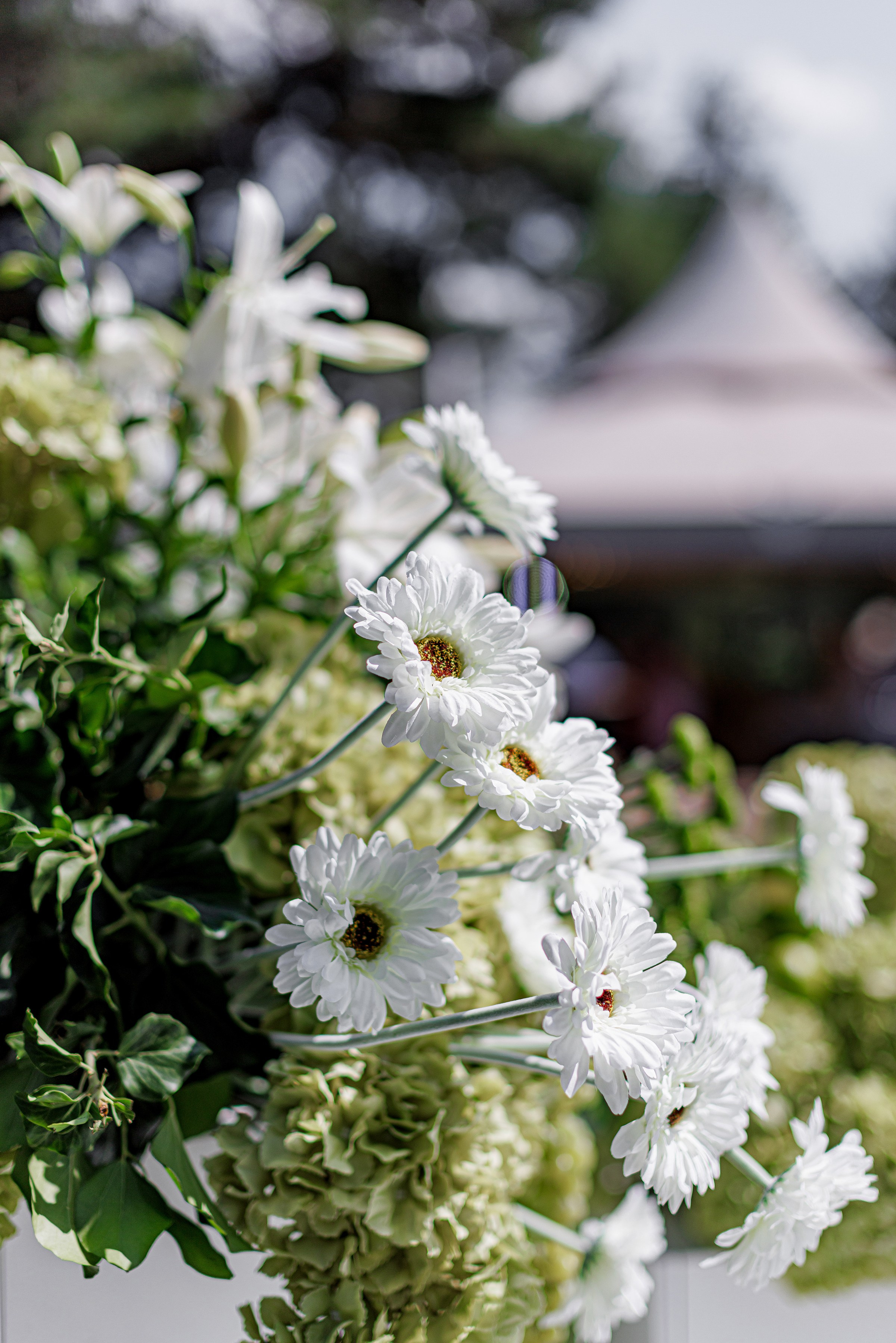 ОЛЕКСІЙ & ДІАНА. Свадебный и семейный фотограф