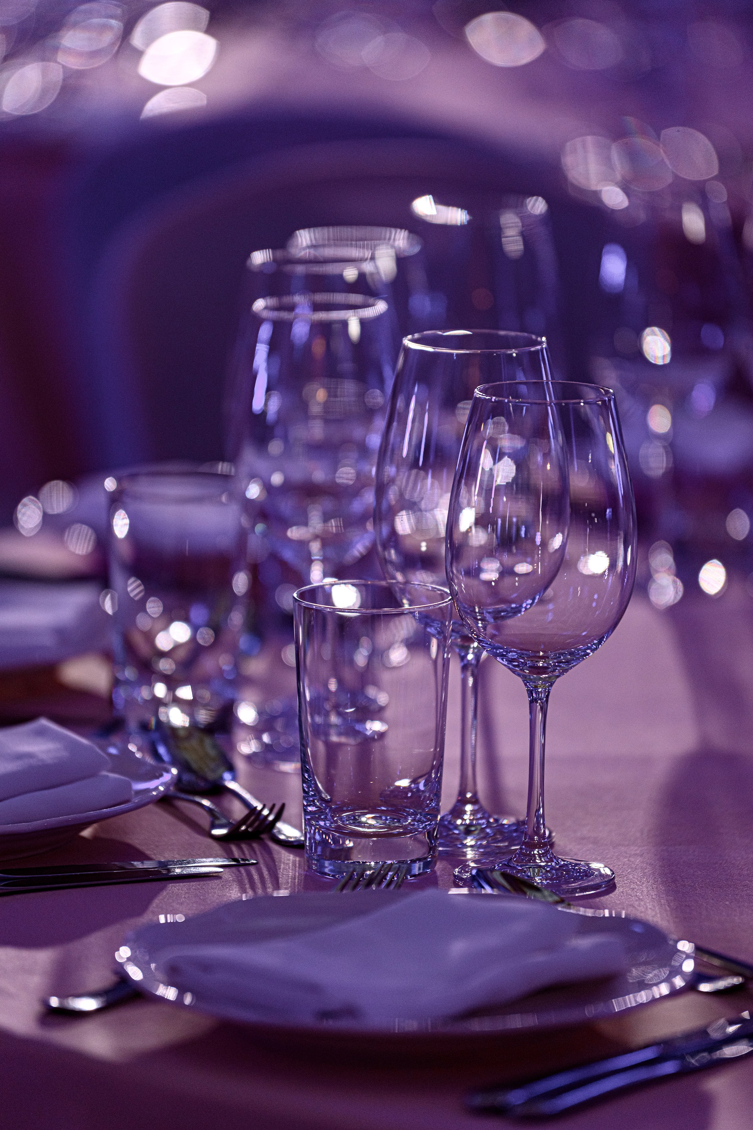 " Viennese Ball Kyiv ". Свадебный и семейный фотограф