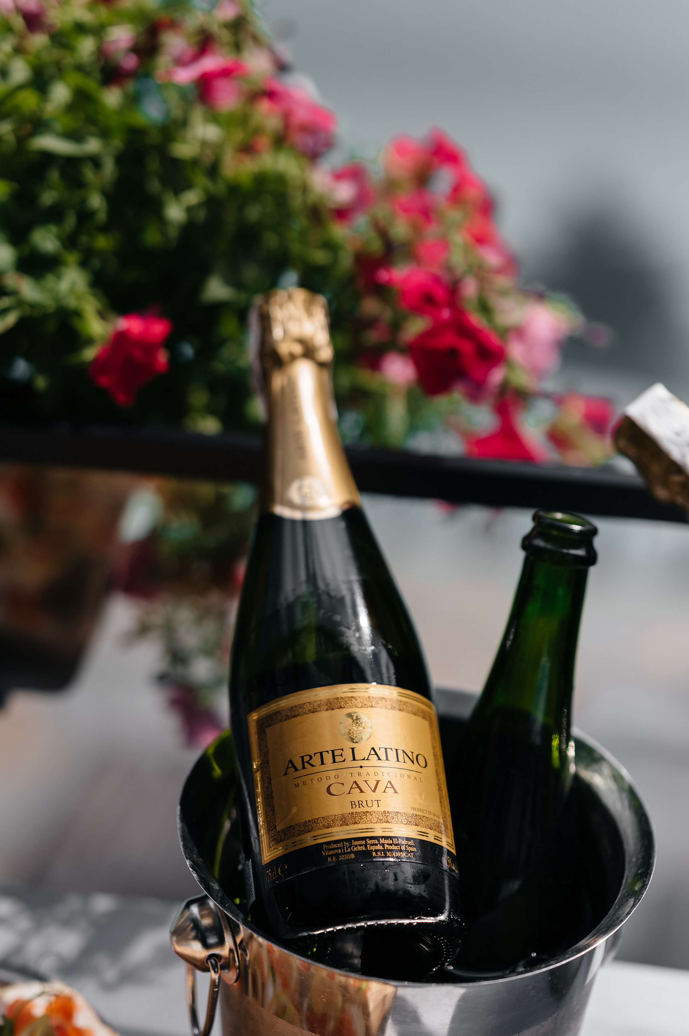 Ігор & Марія. Свадебный и семейный фотограф