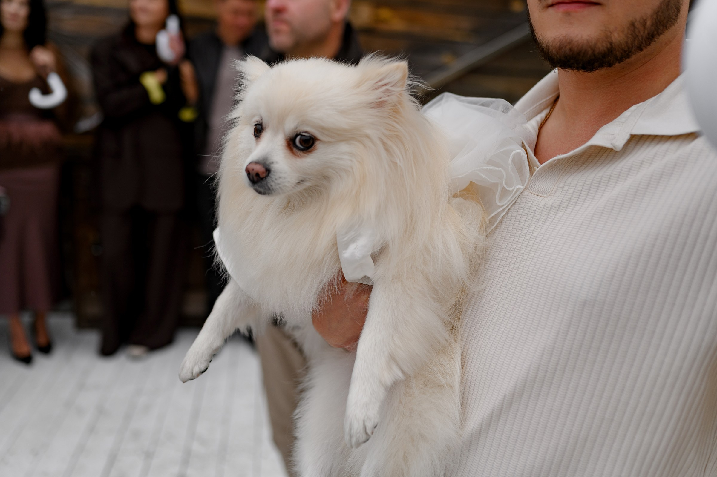 Yaroslav & Anna. Свадебный и семейный фотограф