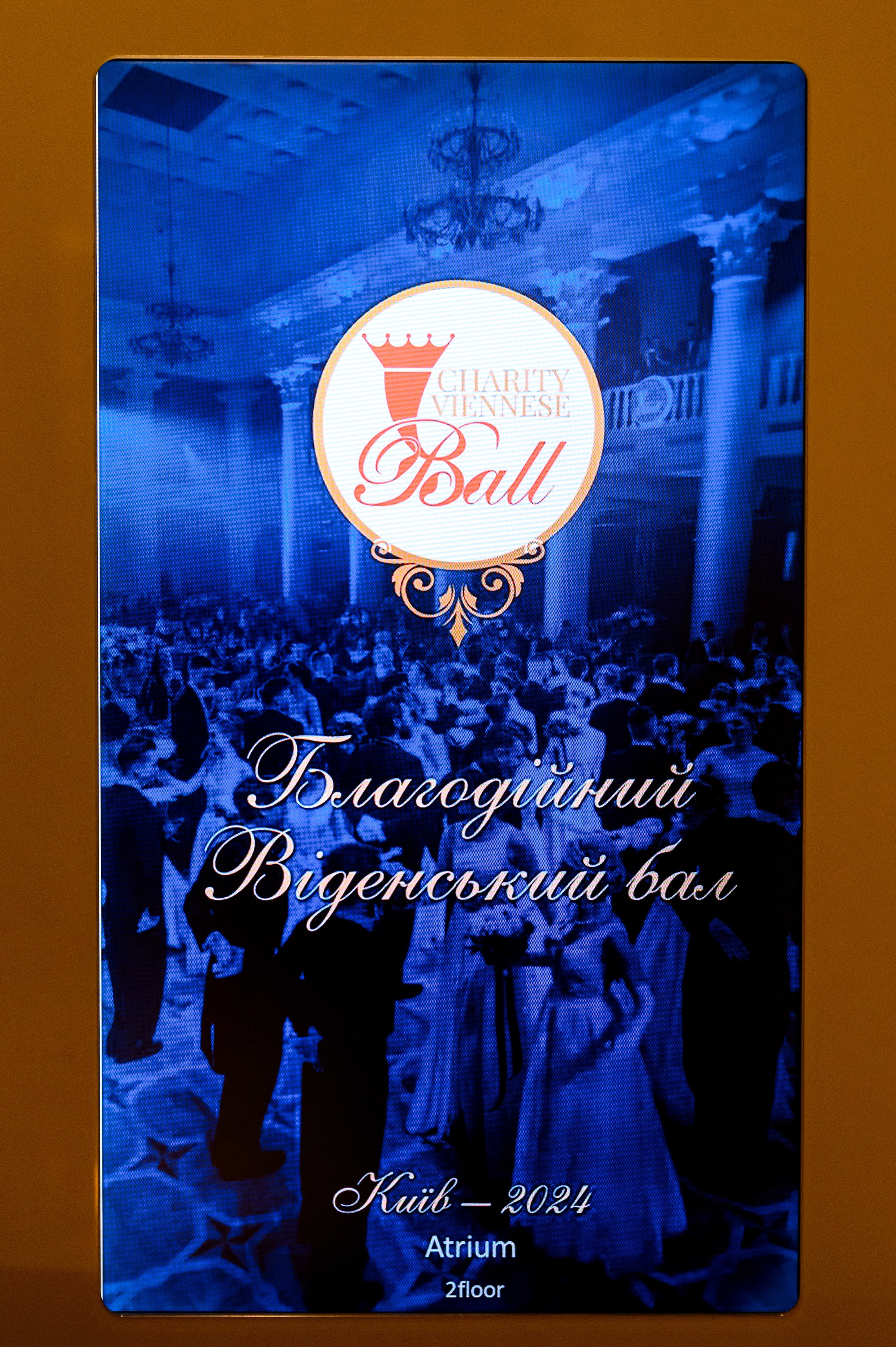 ''CHARITY VIENNESE BALL''. Свадебный и семейный фотограф