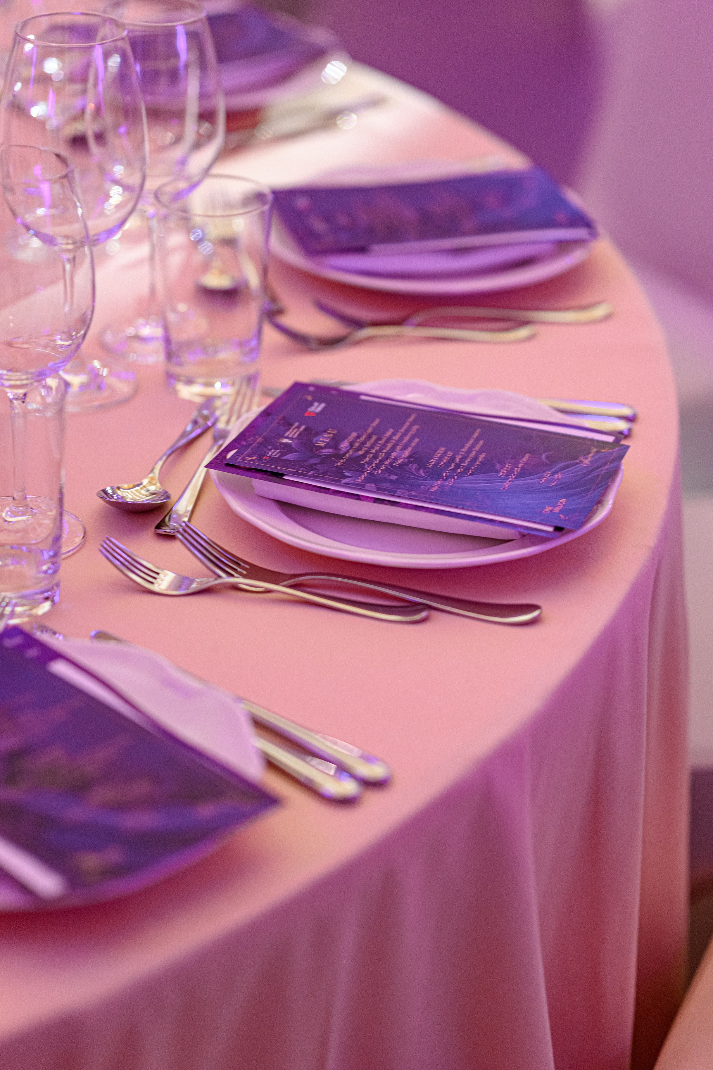 " Viennese Ball Kyiv ". Свадебный и семейный фотограф