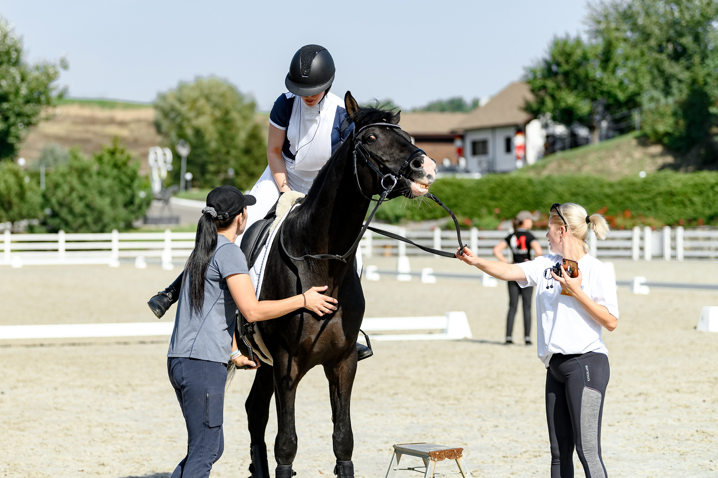 «DRESSAGE EQUIDES CUP 2023». Свадебный и семейный фотограф