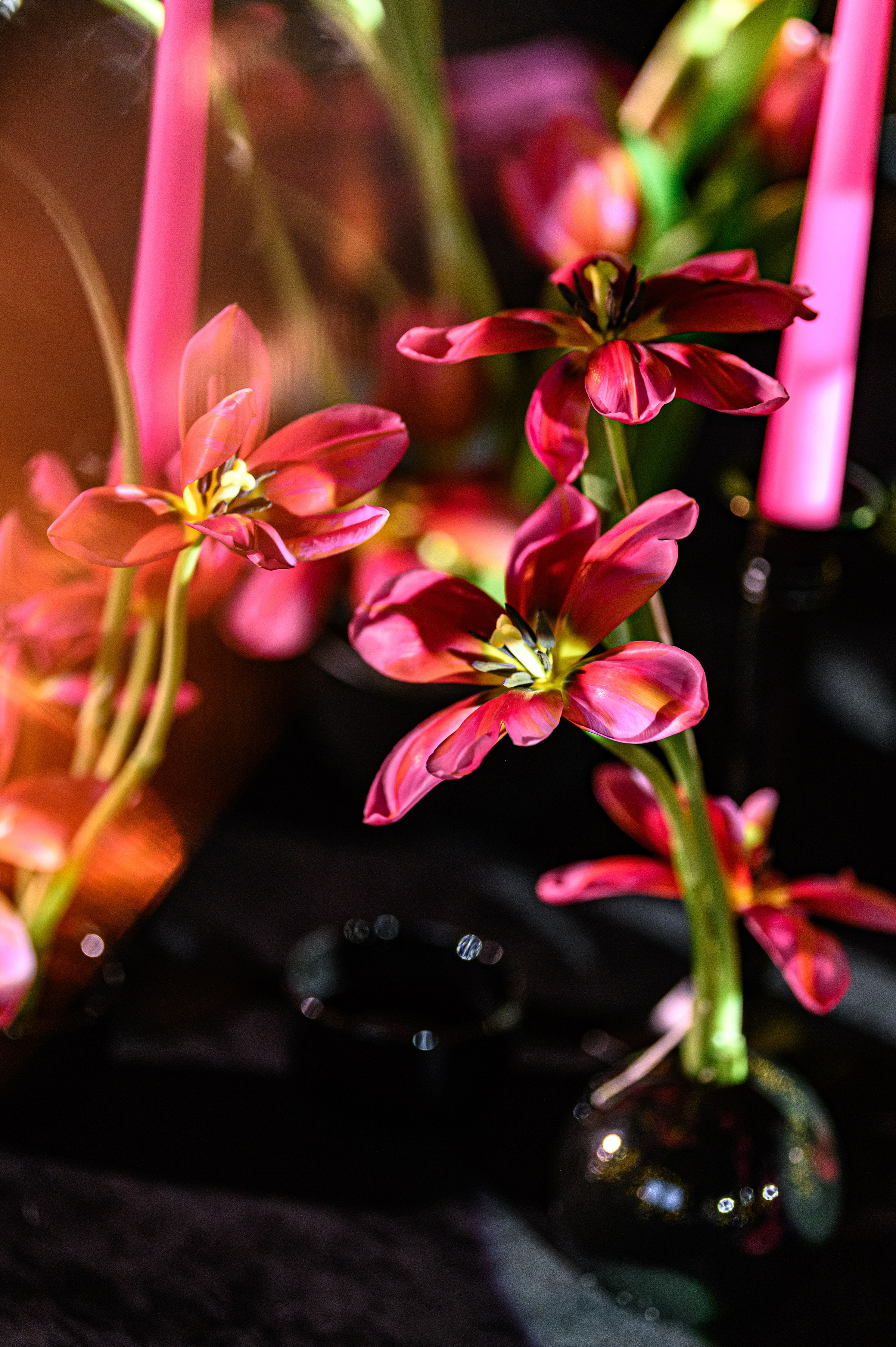 '' ANASTASIA'S birthday party ''. Свадебный и семейный фотограф