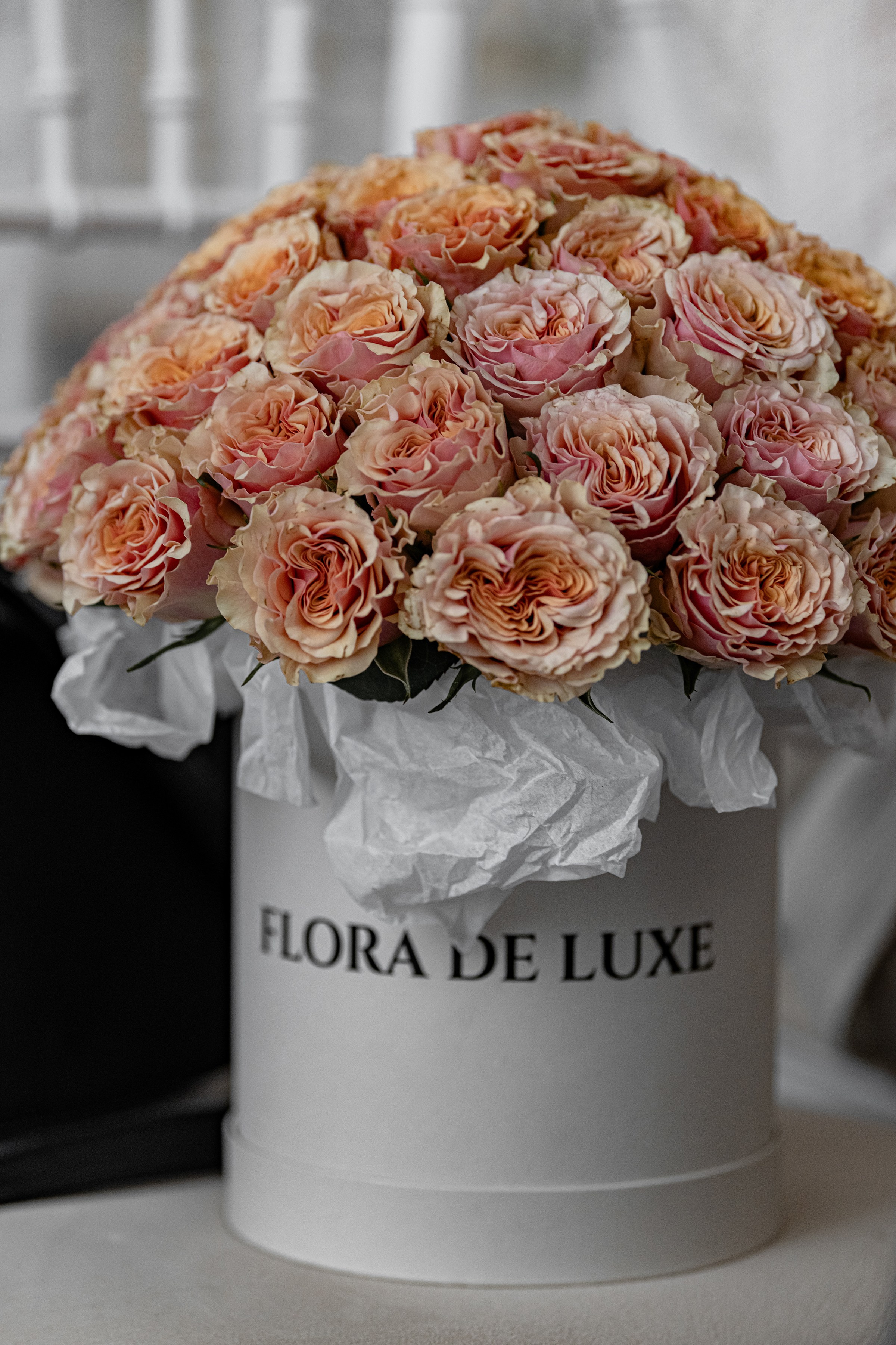 SAID & ILONA. Свадебный и семейный фотограф