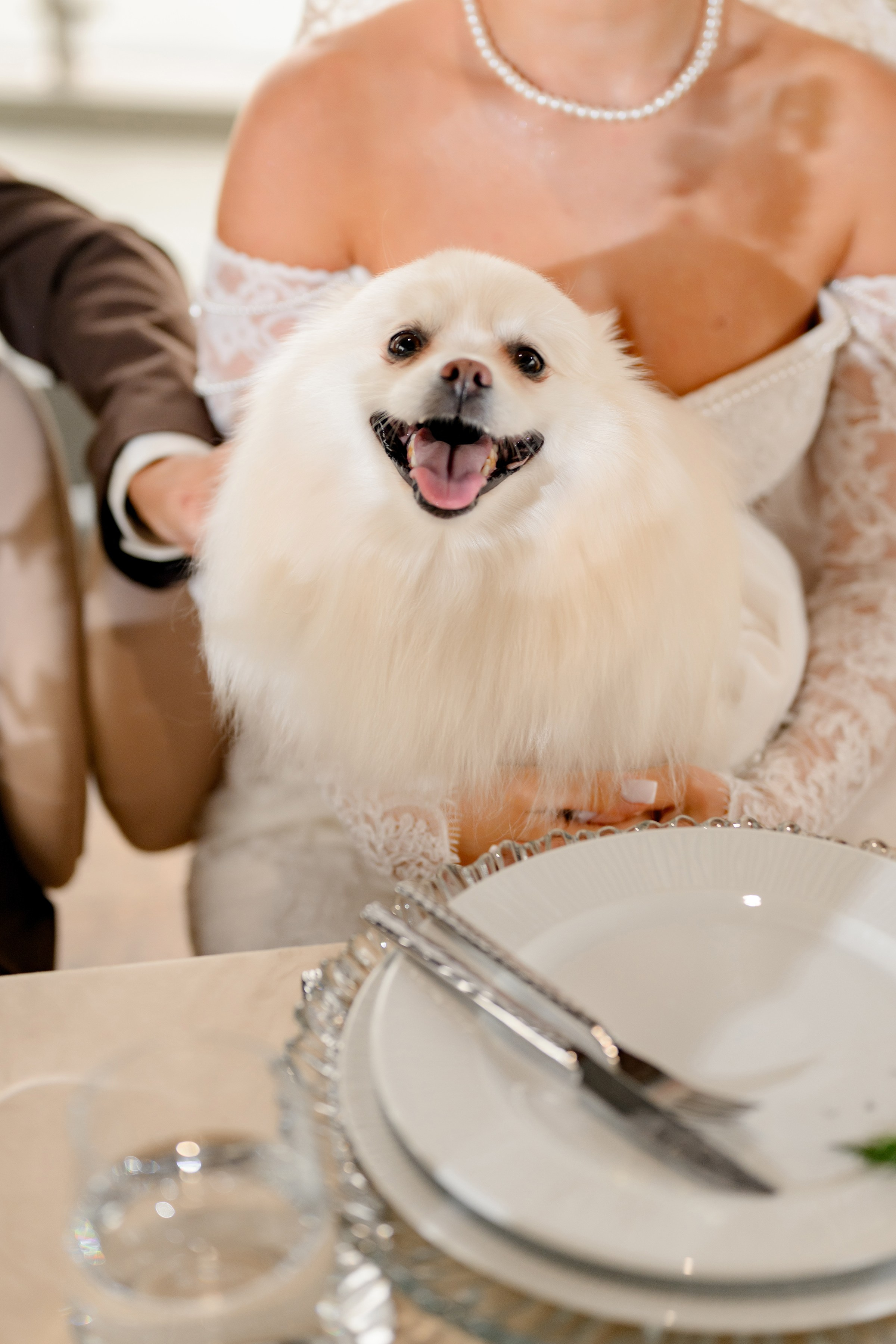 Yaroslav & Anna. Свадебный и семейный фотограф