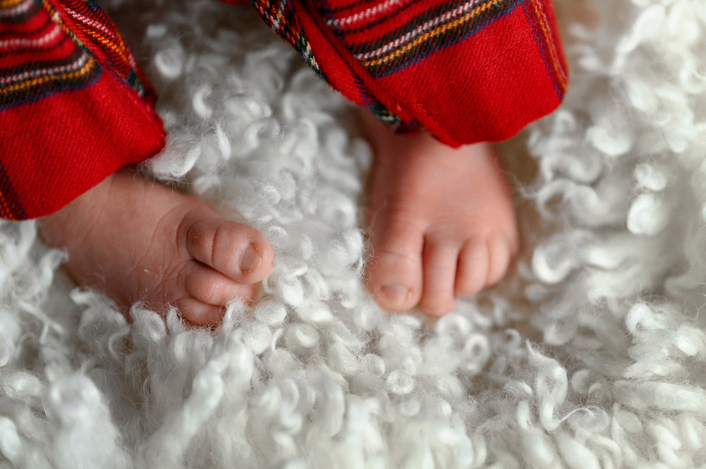 ADRIANA. Свадебный и семейный фотограф