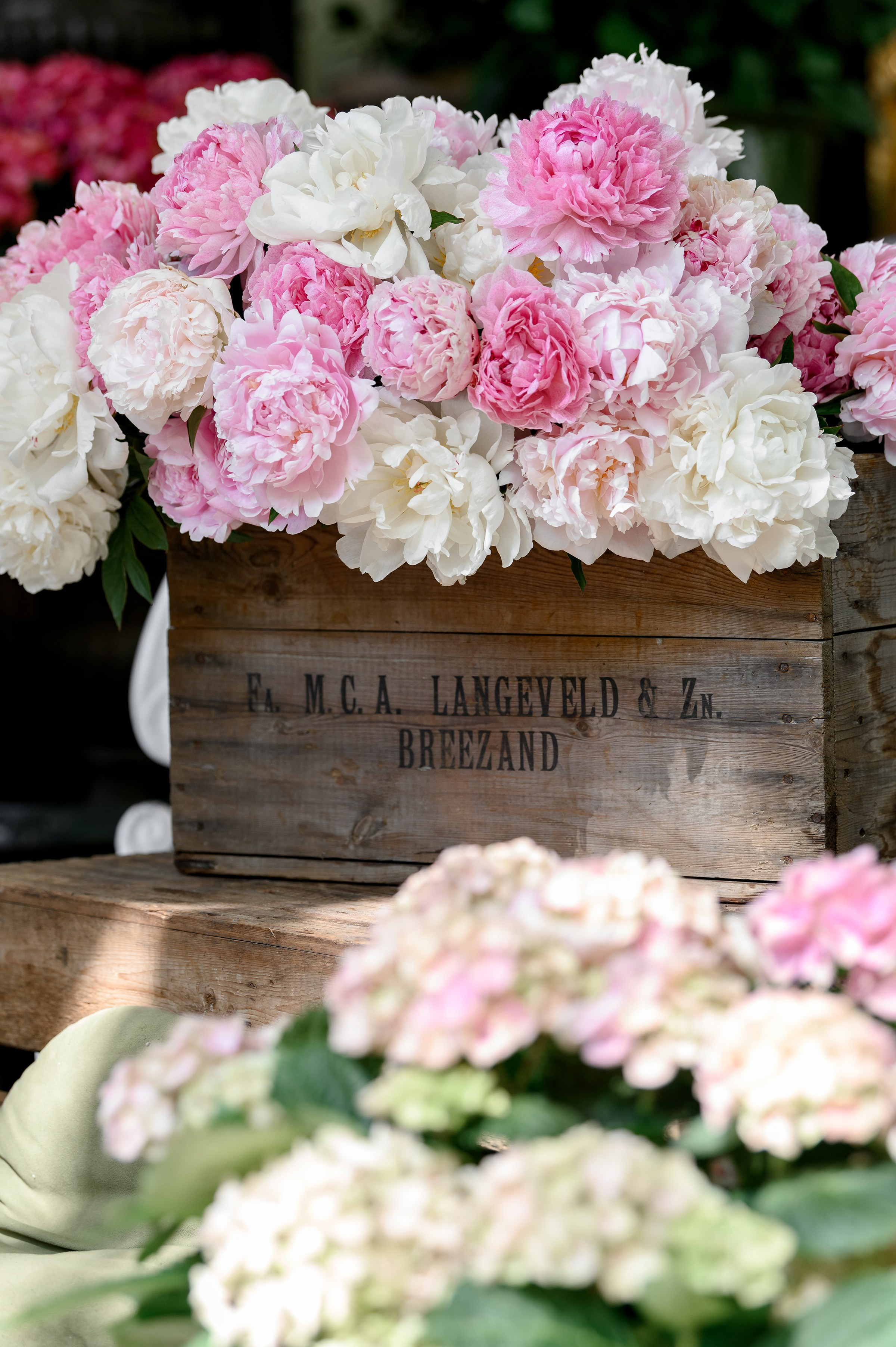 " KLOVSKYSAD summer ". Свадебный и семейный фотограф