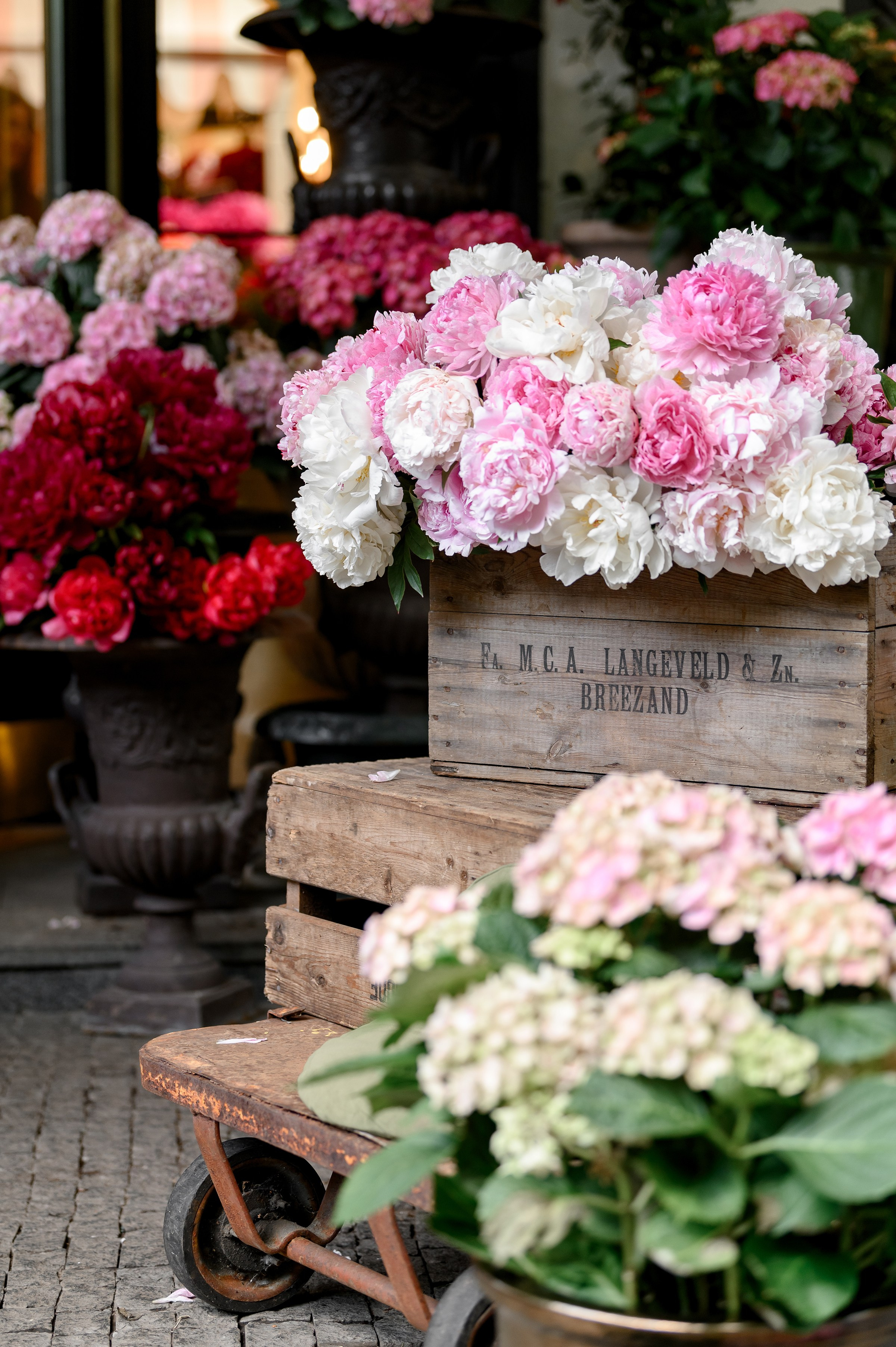 " KLOVSKYSAD summer ". Свадебный и семейный фотограф