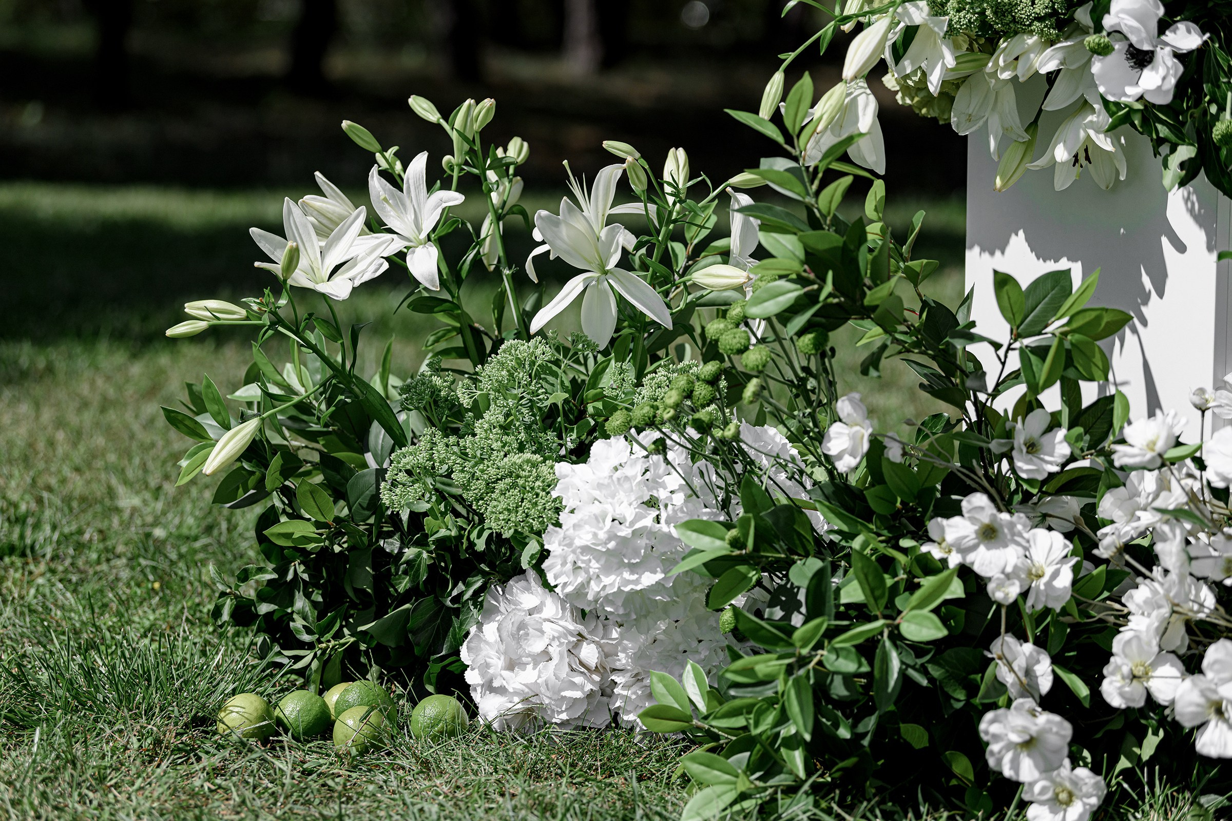 ОЛЕКСІЙ & ДІАНА. Свадебный и семейный фотограф