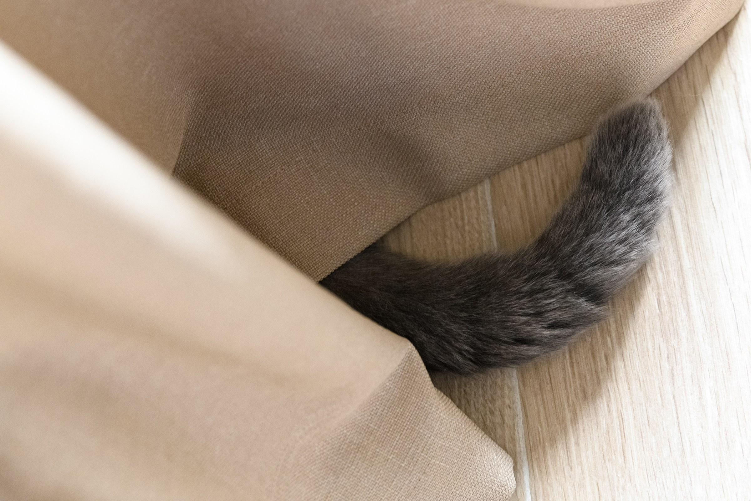 ОЛЕКСІЙ & ЯРОСЛАВА. Свадебный и семейный фотограф