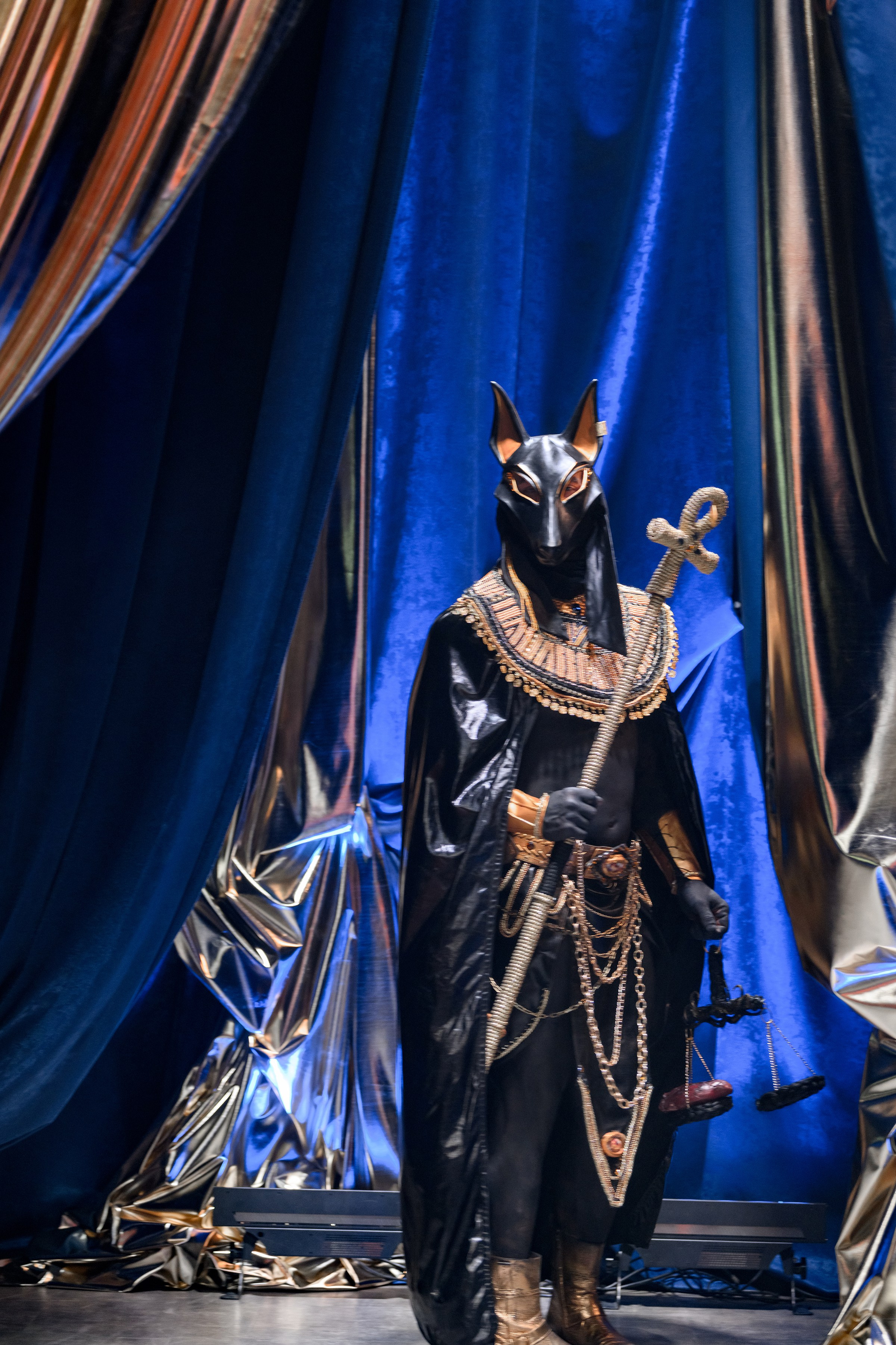 «CHAMPION FEST 2025». Свадебный и семейный фотограф