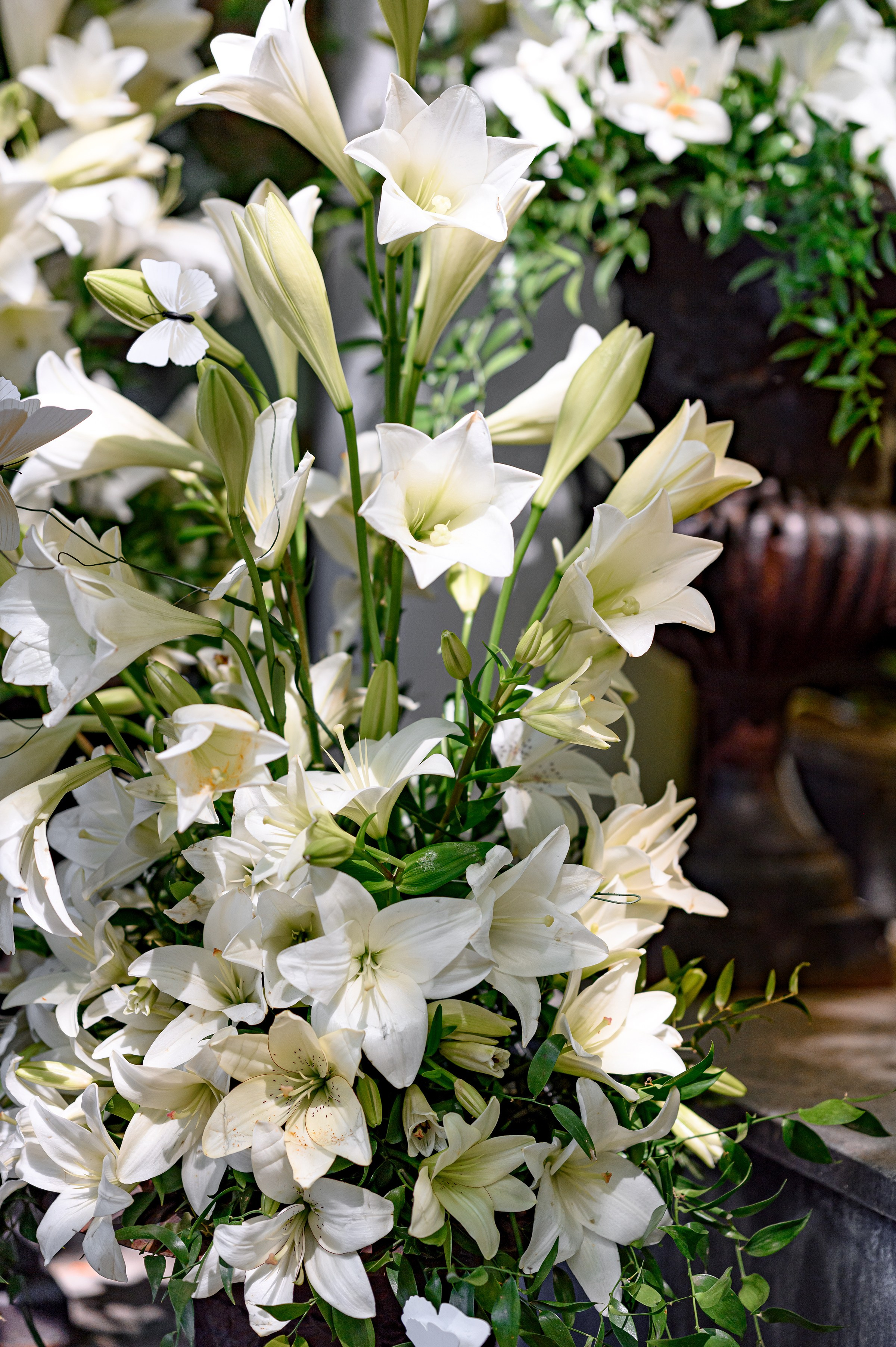 PROJECT ''Klovskysad & Marvis''. Свадебный и семейный фотограф