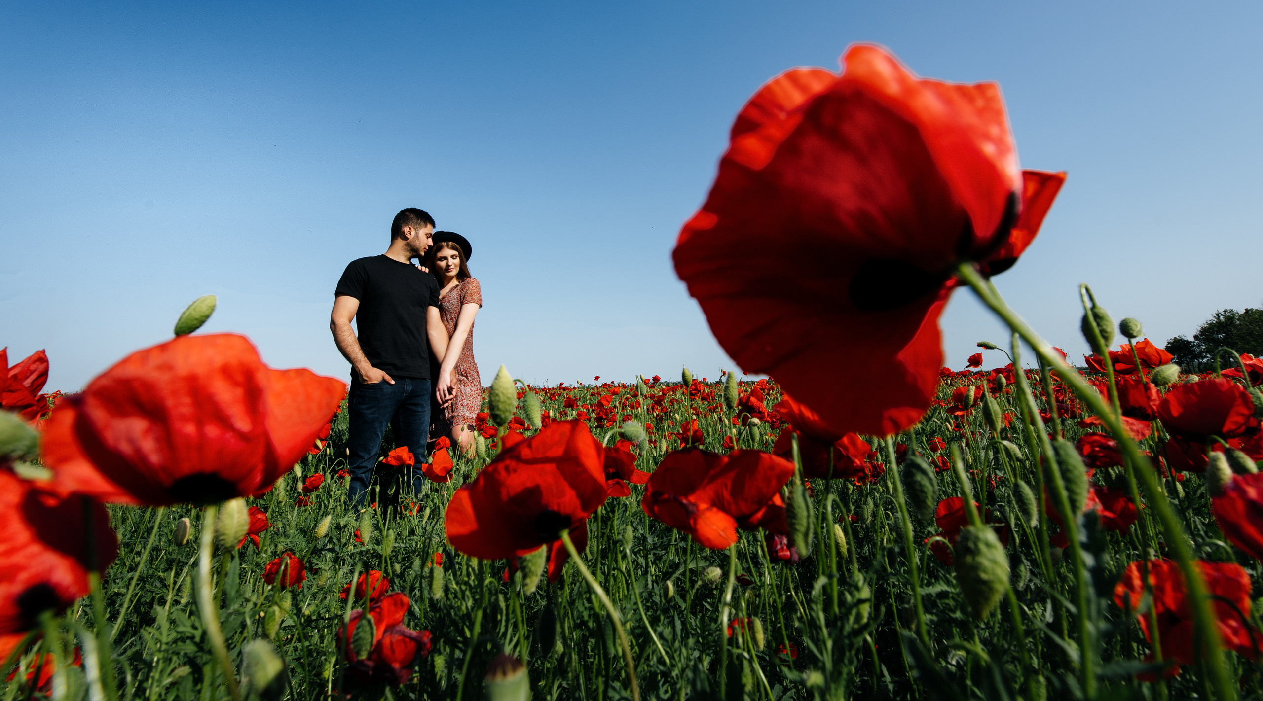 Денис & Анастасія. Свадебный и семейный фотограф