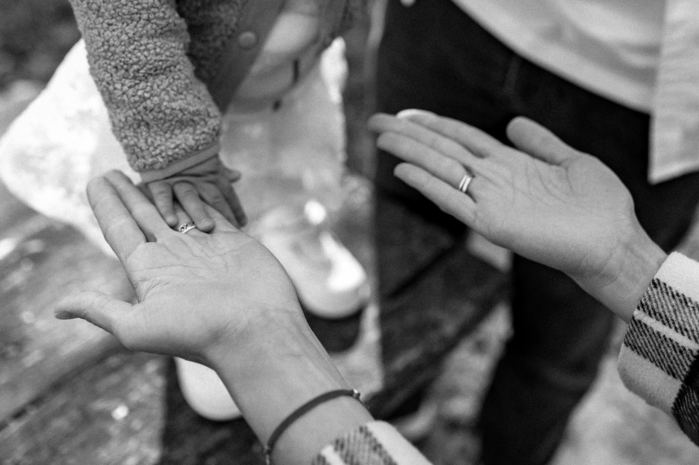 F A M I L Y. Свадебный и семейный фотограф