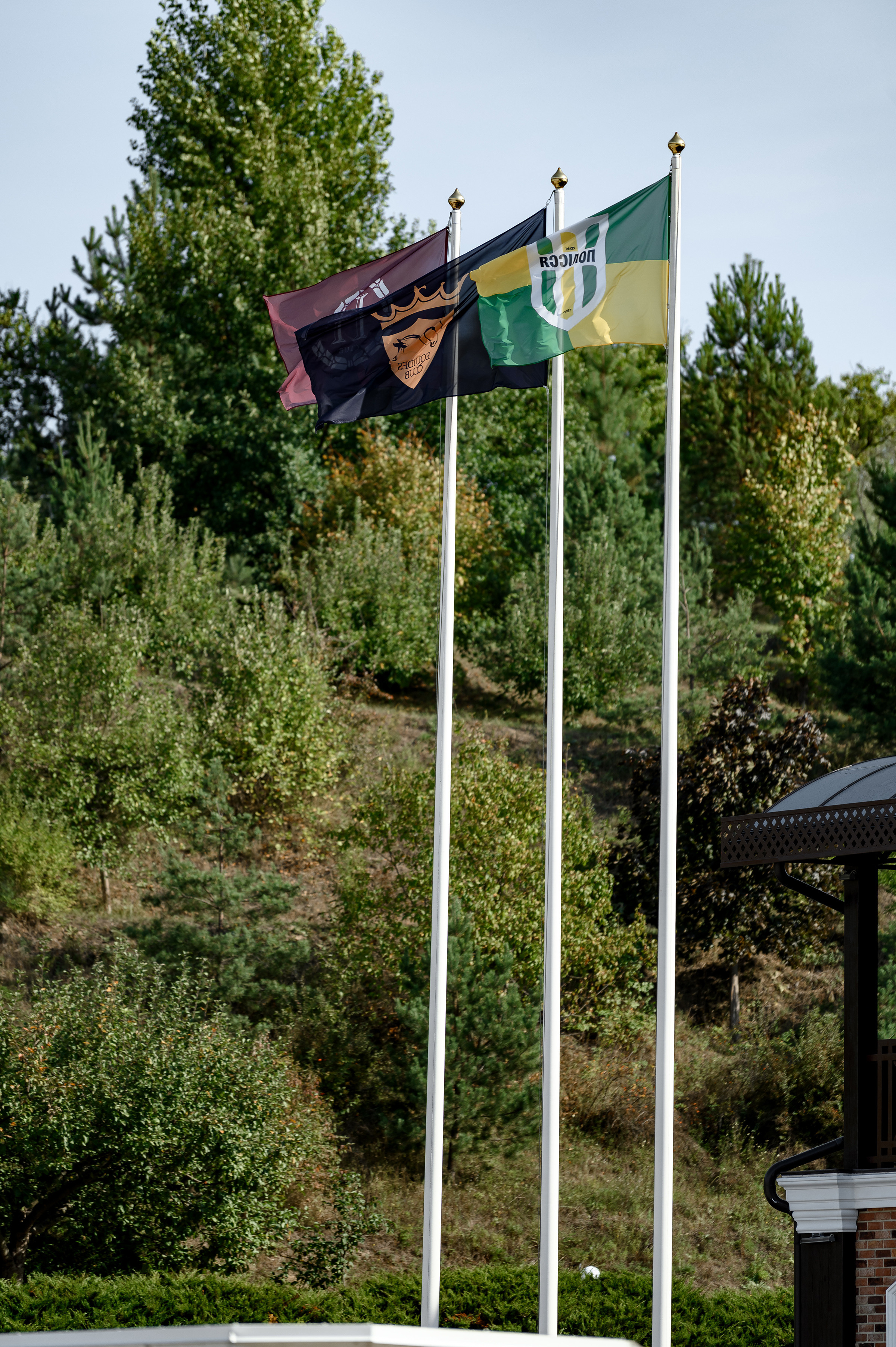«DRESSAGE EQUIDES CUP 2023». Свадебный и семейный фотограф
