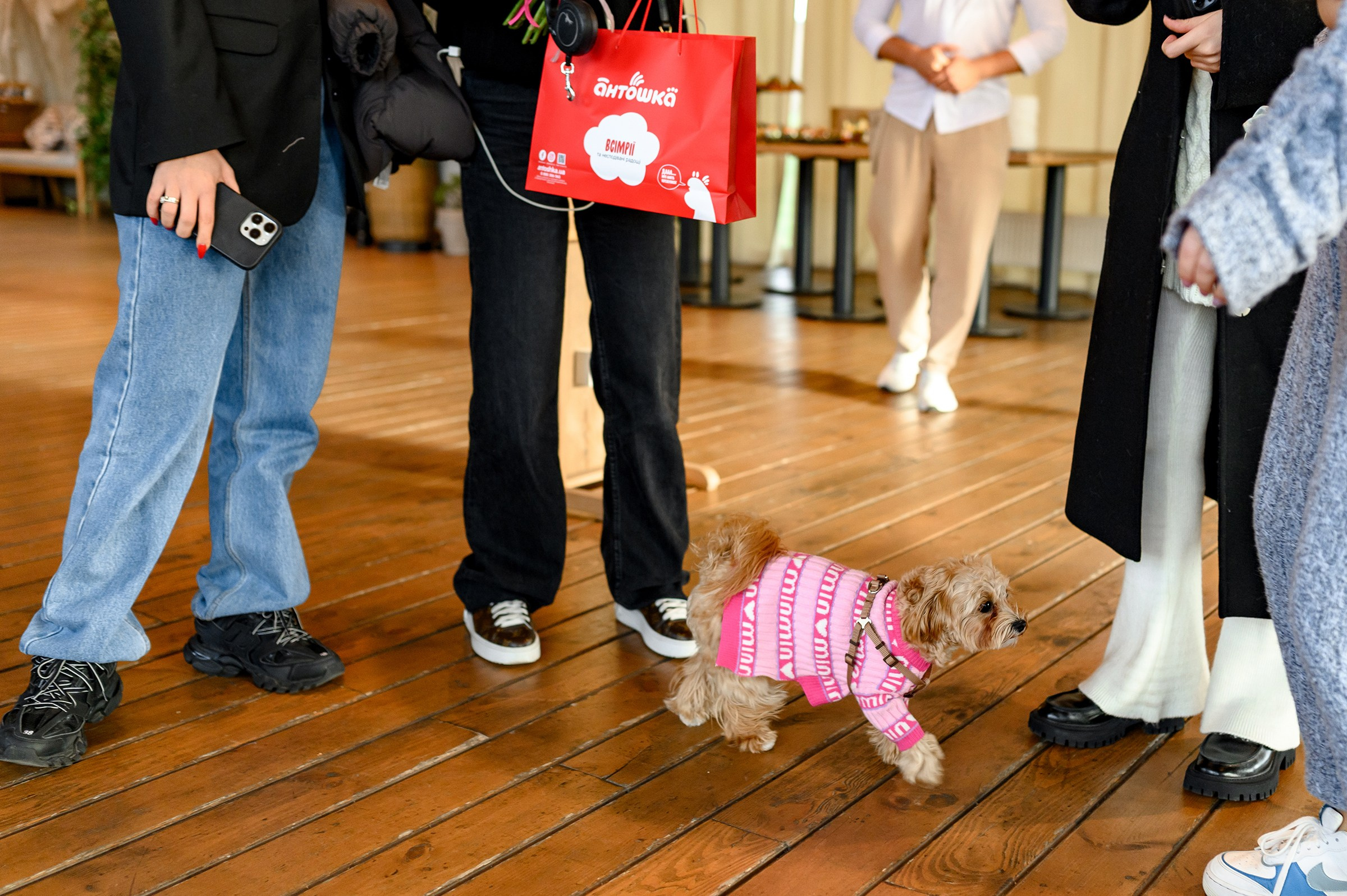«GENDER PARTY». Свадебный и семейный фотограф