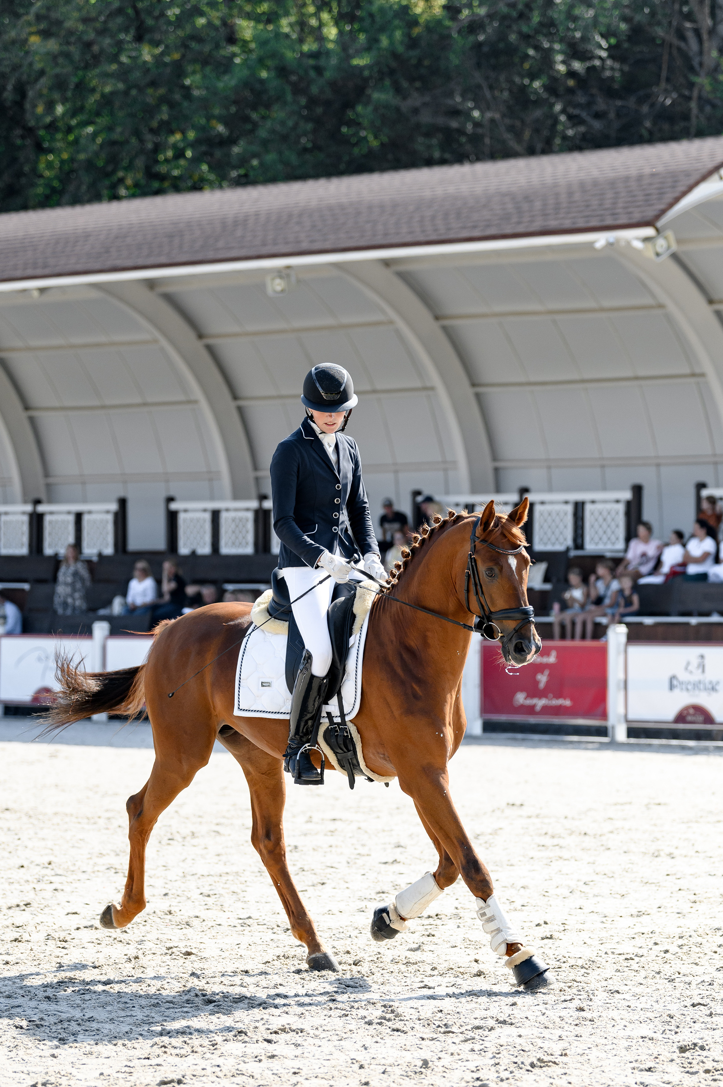«DRESSAGE EQUIDES CUP 2023». Свадебный и семейный фотограф