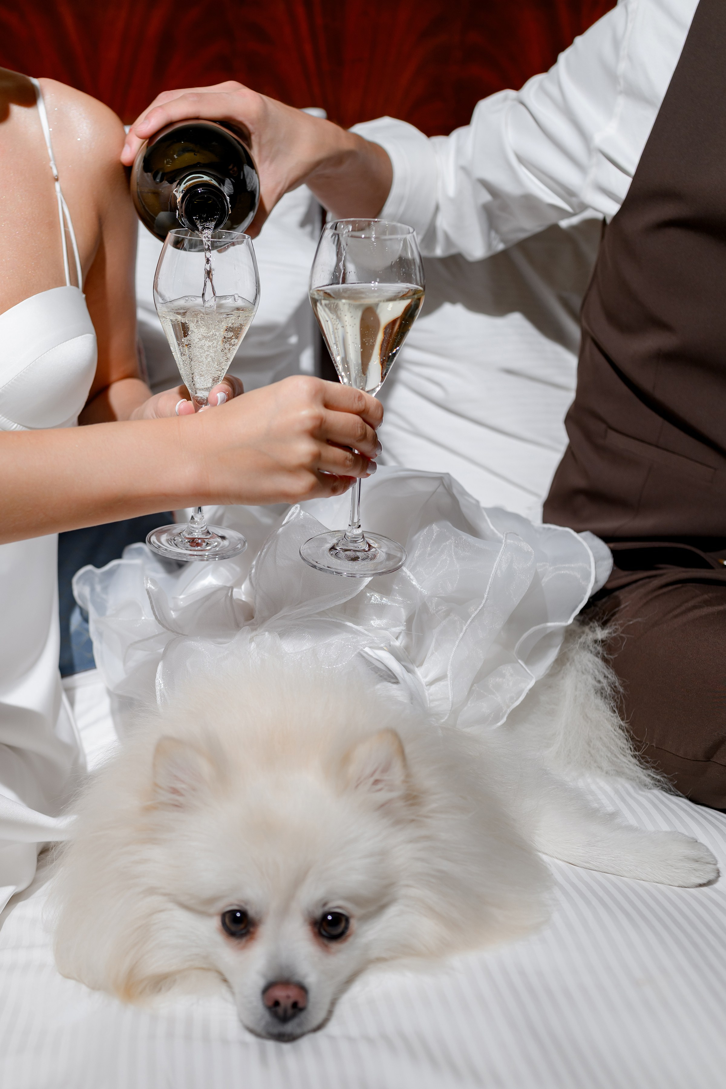 Yaroslav & Anna. Свадебный и семейный фотограф