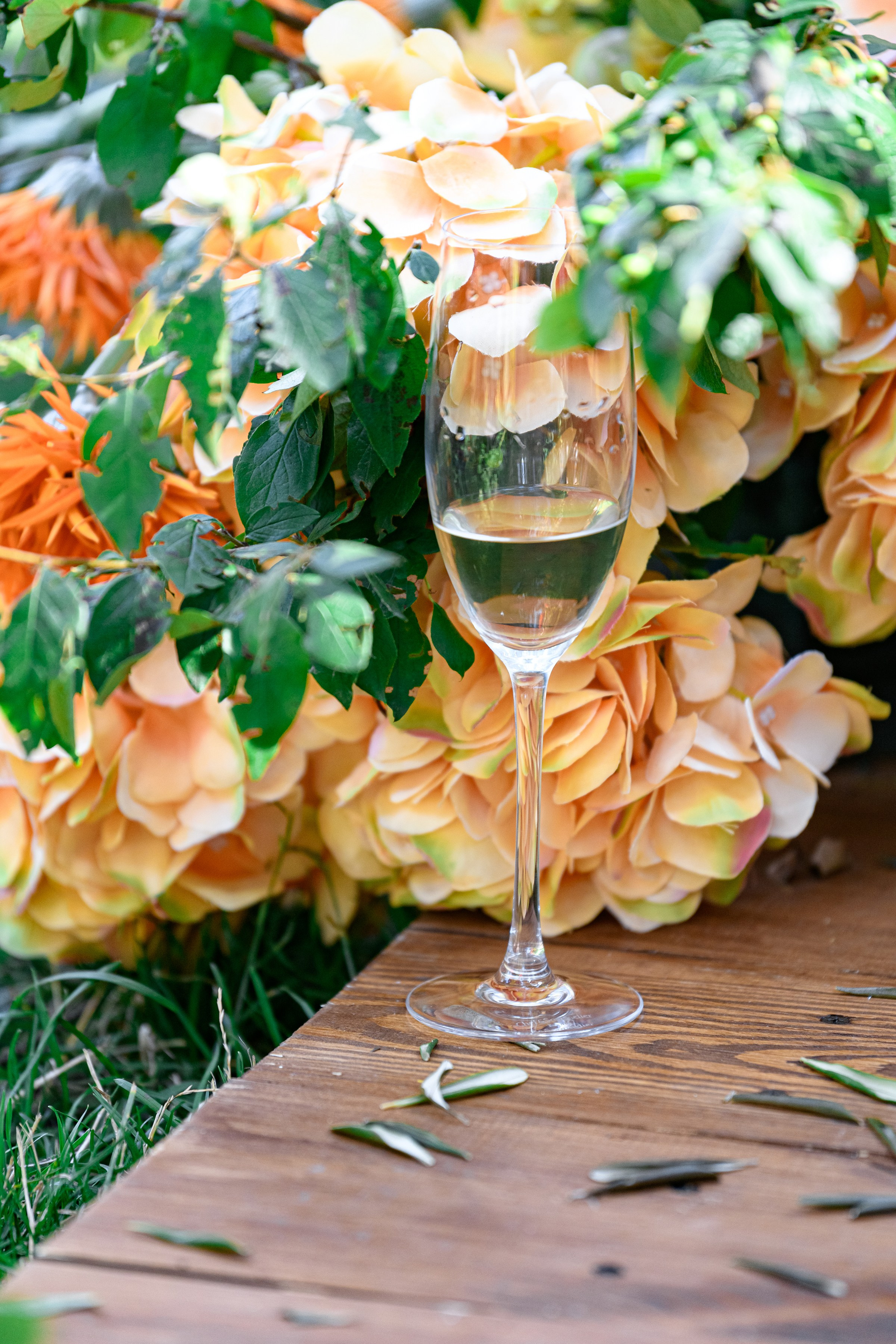 ОЛЕКСІЙ & ЯРОСЛАВА. Свадебный и семейный фотограф