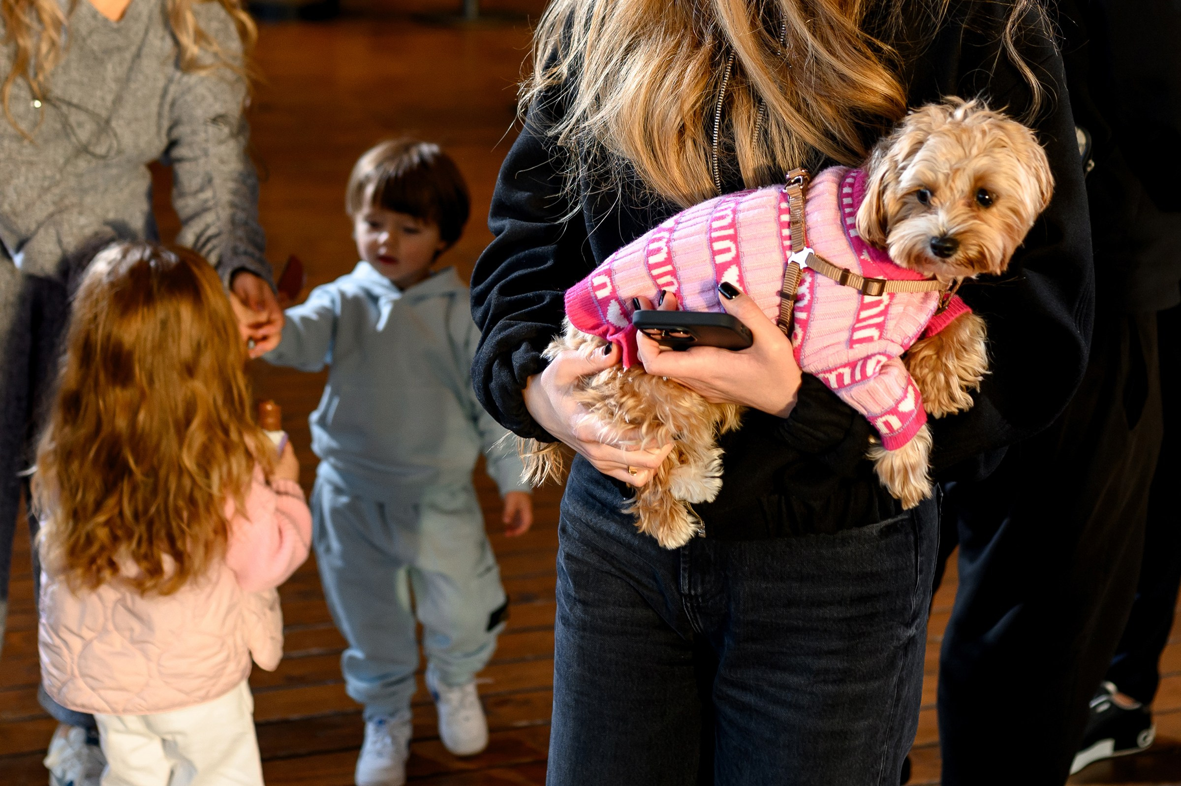 «GENDER PARTY». Свадебный и семейный фотограф