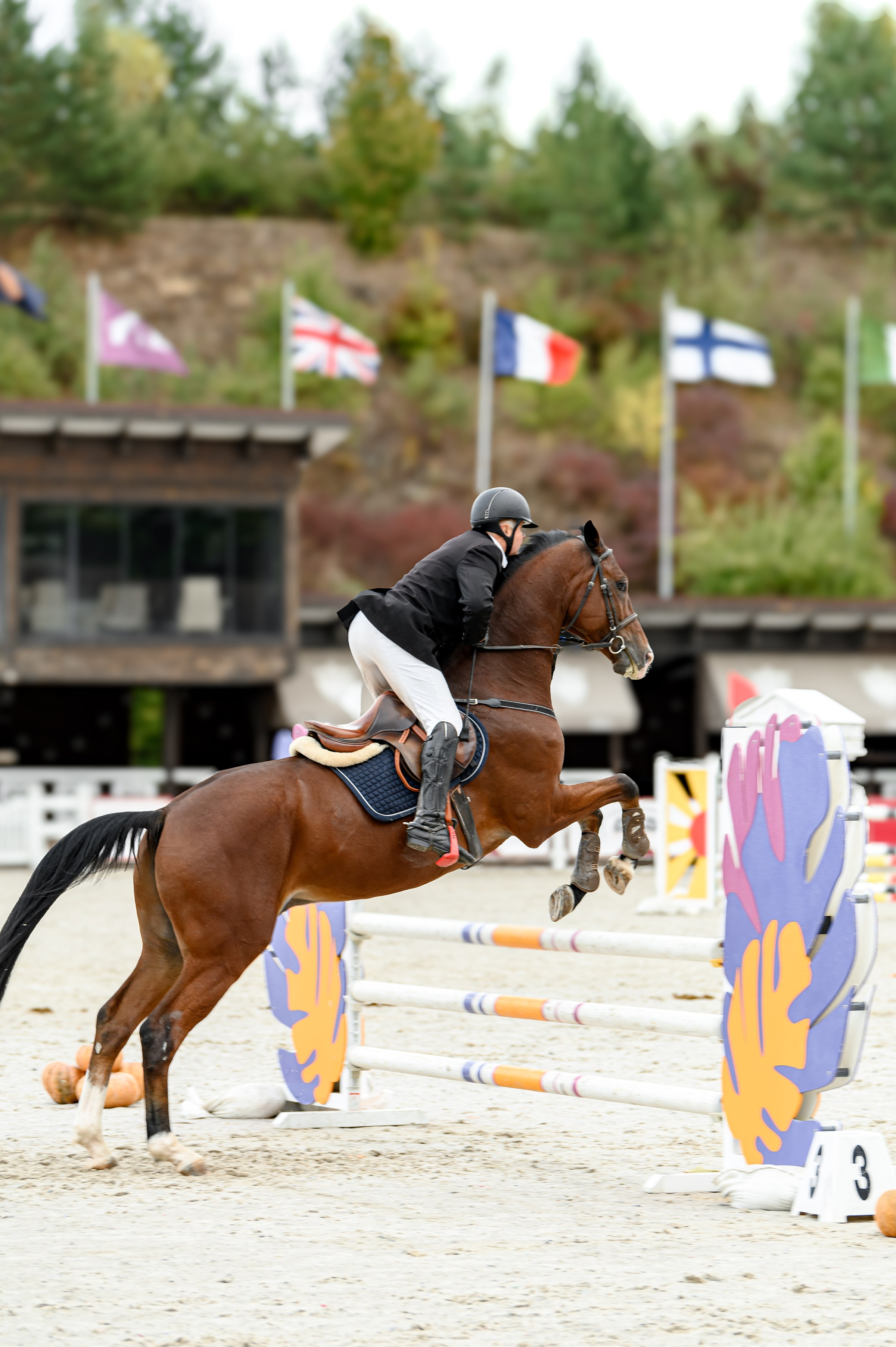 EQUIDES CUP 2023. Свадебный и семейный фотограф
