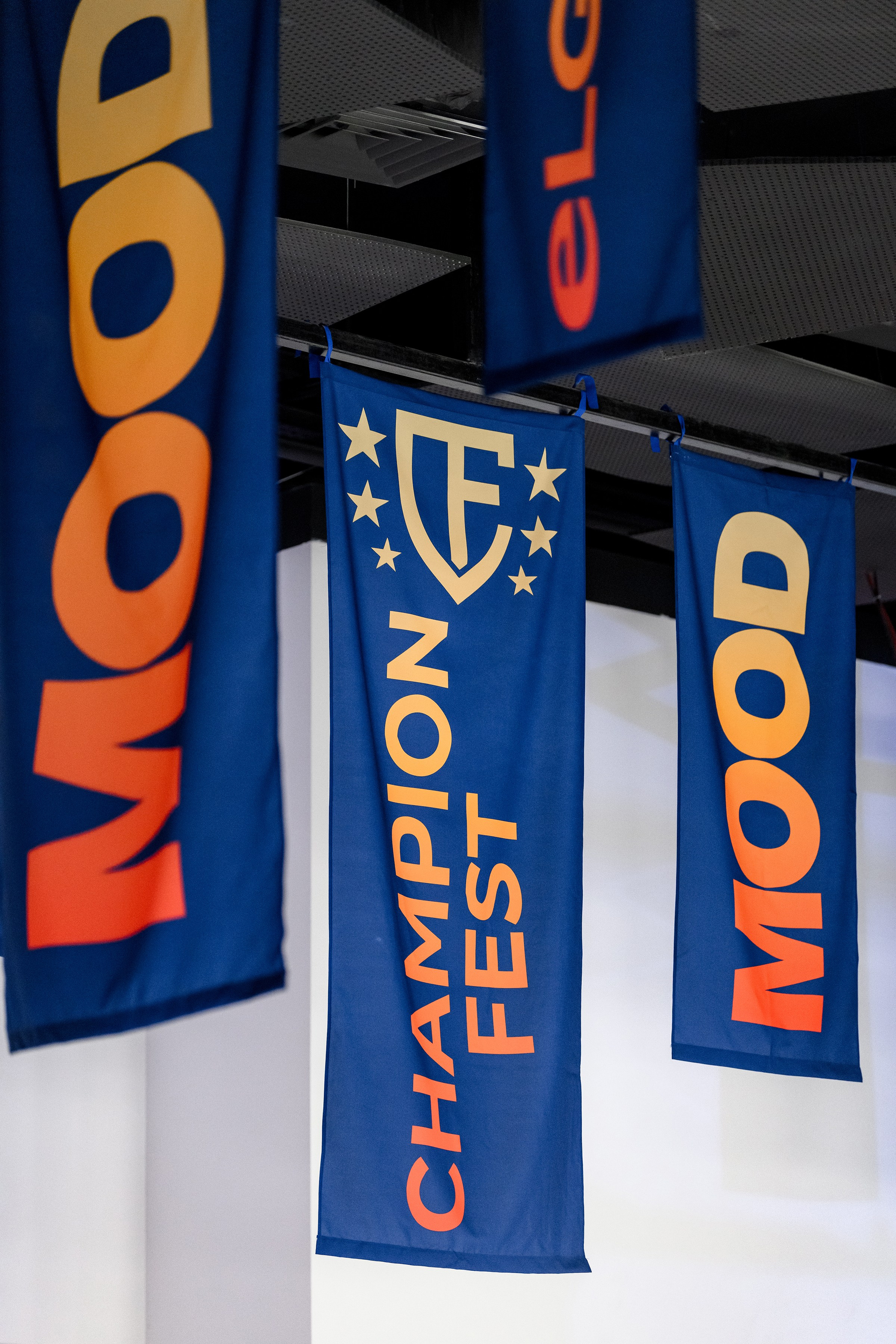 «CHAMPION FEST 2025». Свадебный и семейный фотограф