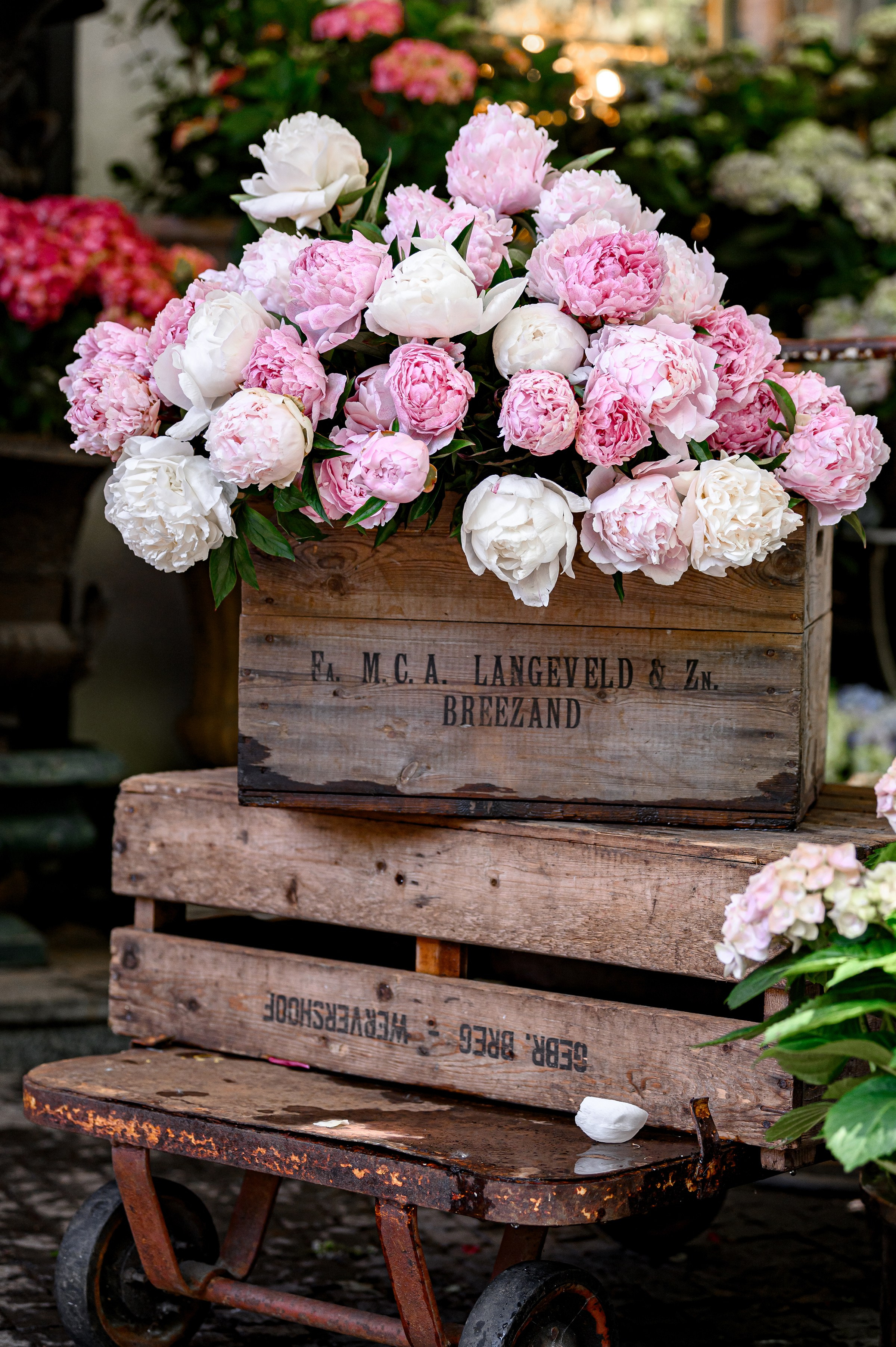 " KLOVSKYSAD summer ". Свадебный и семейный фотограф