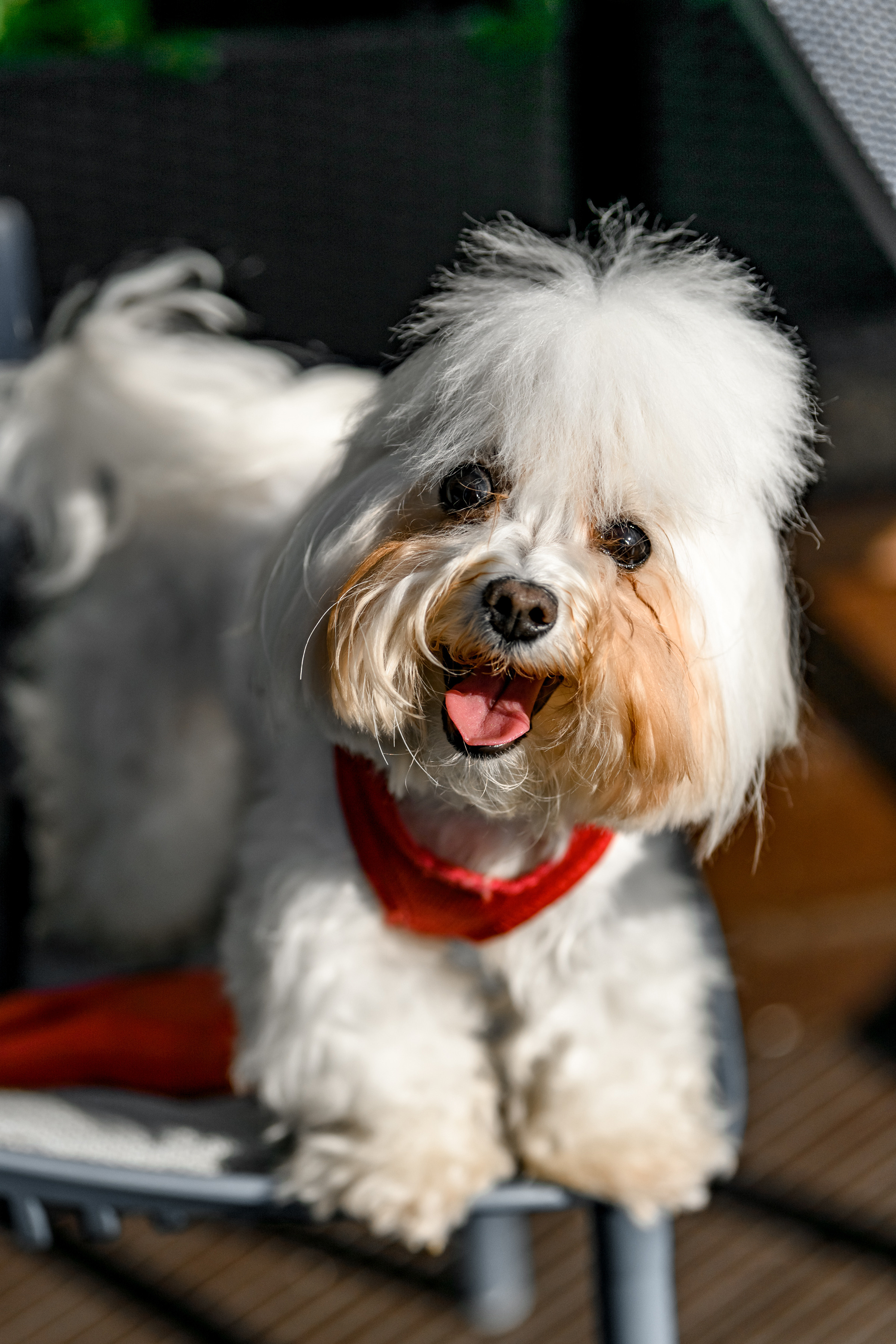 Благодійній концерт від фонду «Мамине серце» — «Твій вихід в світ». Свадебный и семейный фотограф