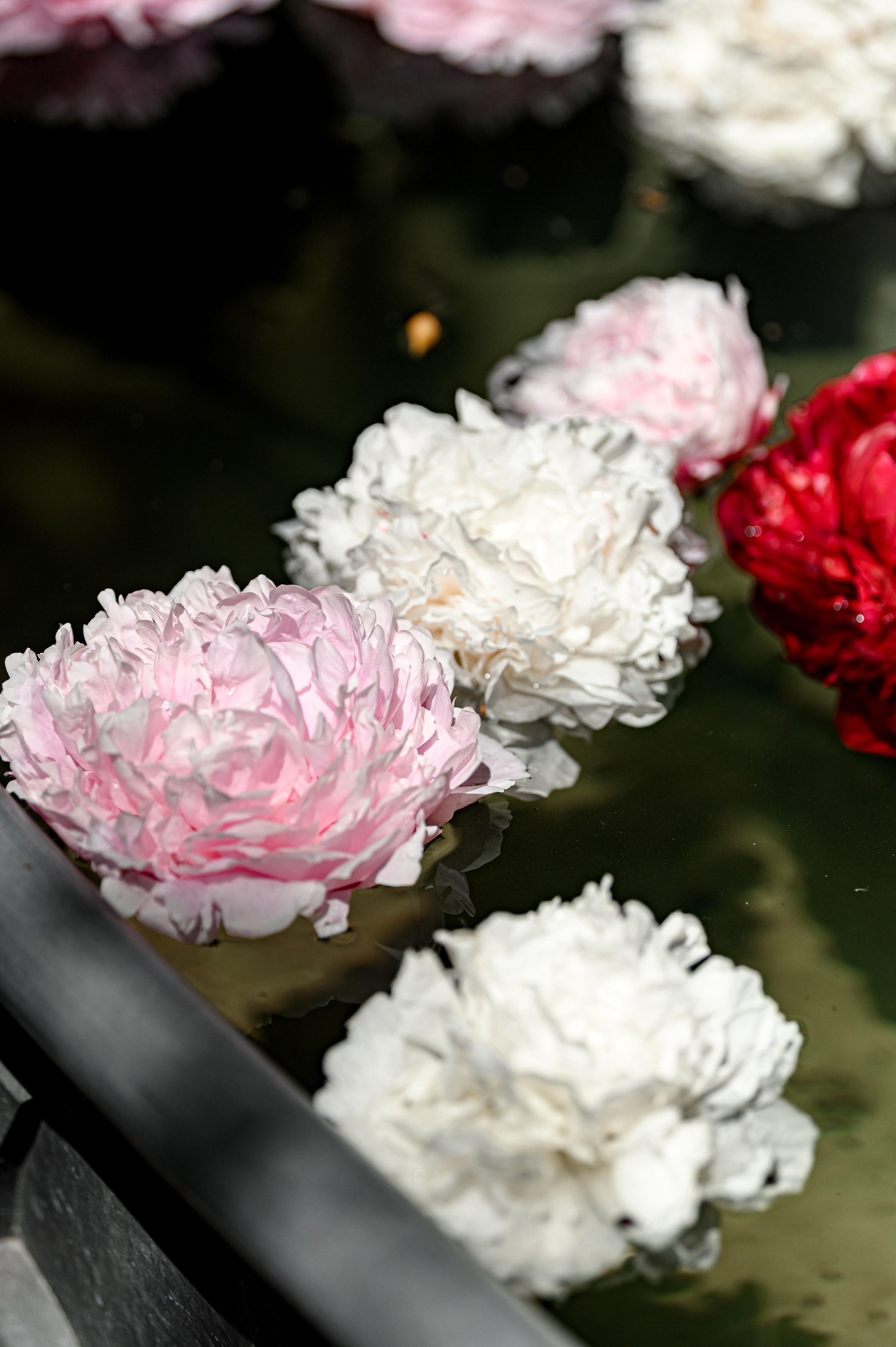 " KLOVSKYSAD summer ". Свадебный и семейный фотограф