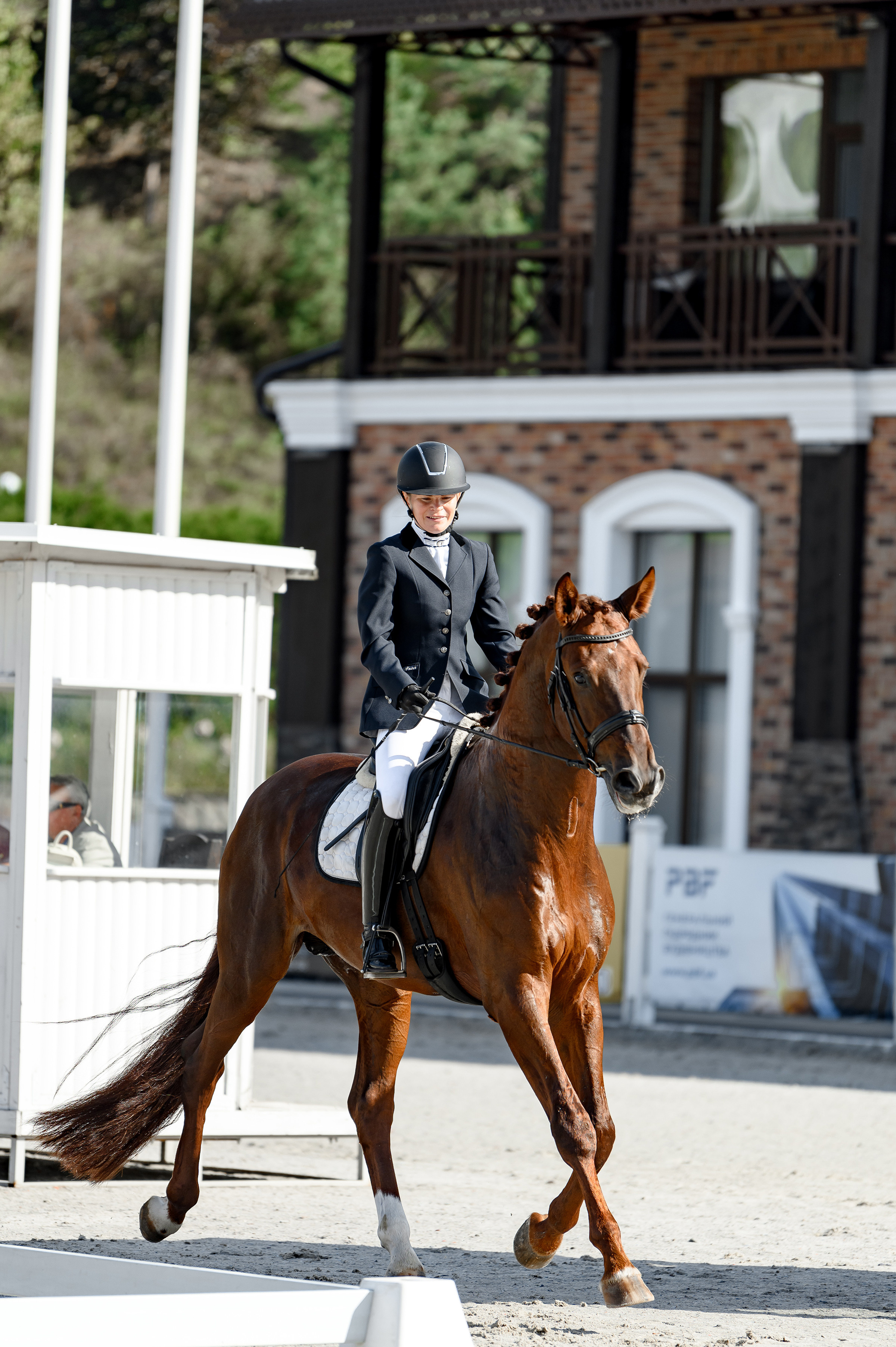 «DRESSAGE EQUIDES CUP 2023». Свадебный и семейный фотограф