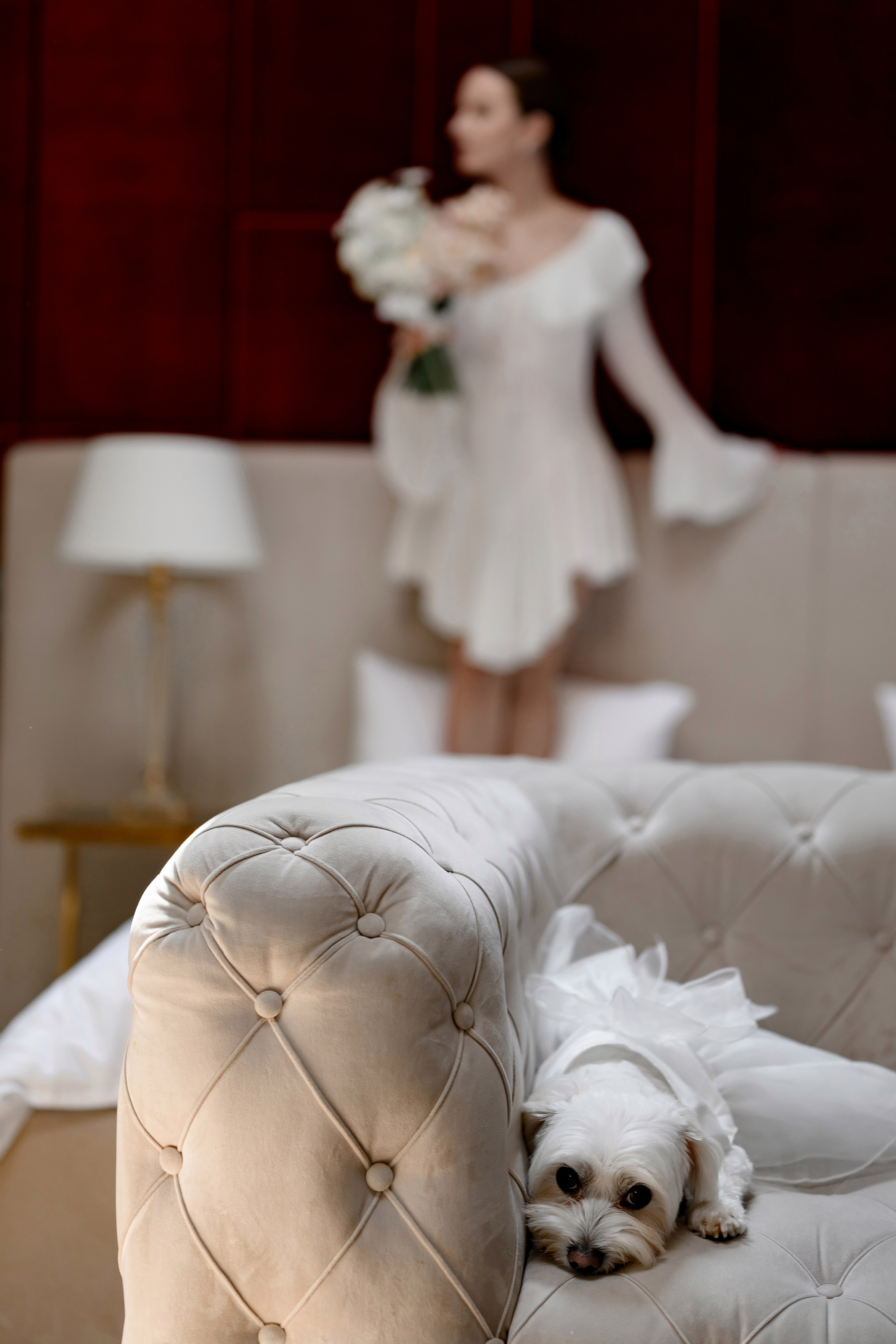 LIZA & RUSLAN. Свадебный и семейный фотограф